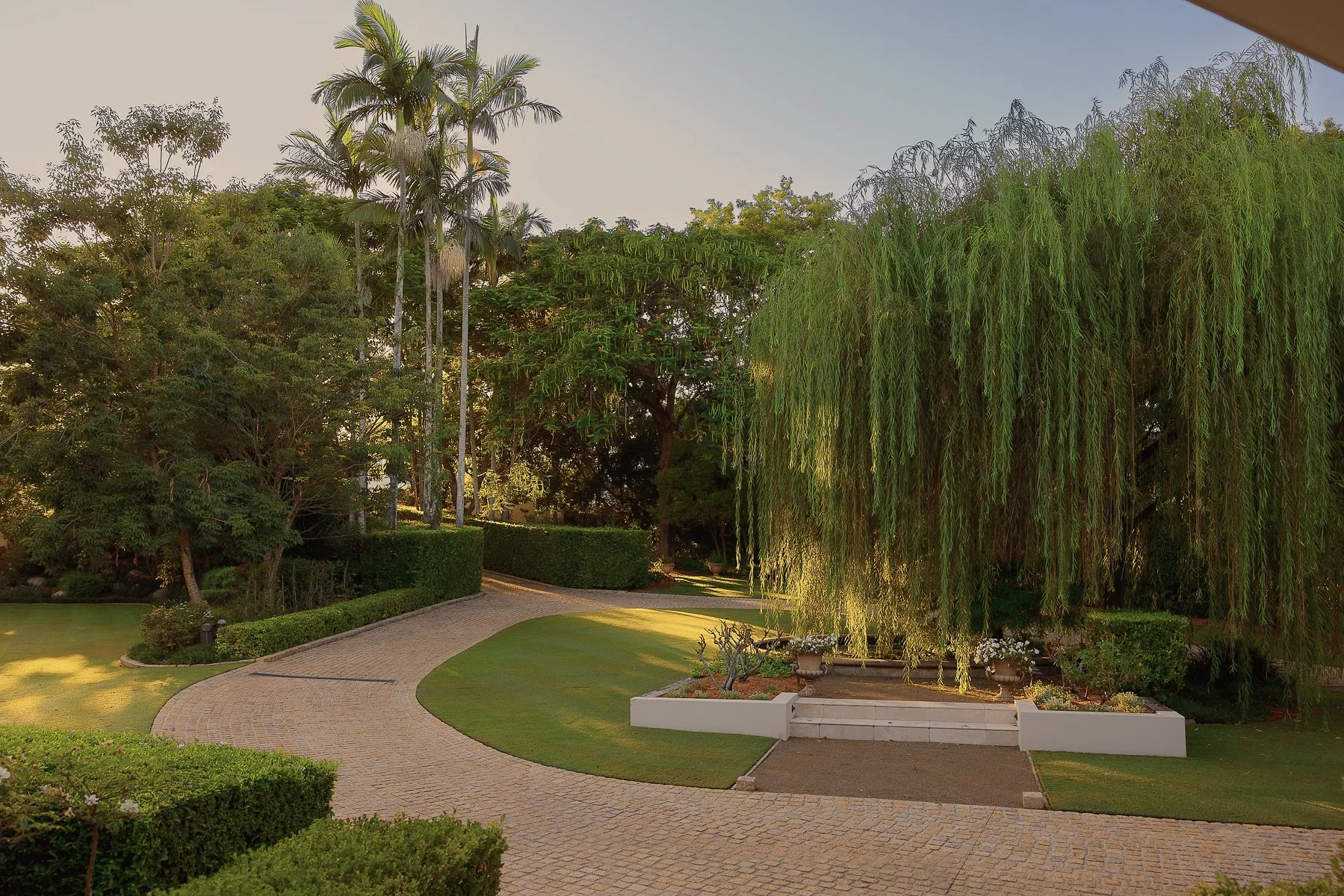 Web and Instagram res-4.jpg