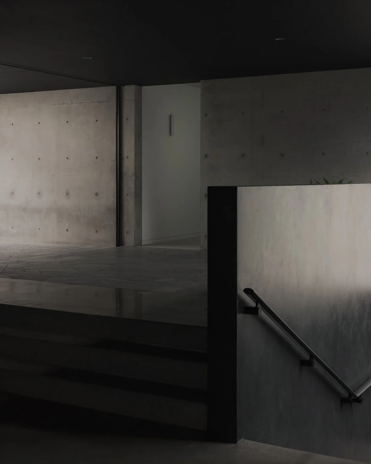 Web and Instagram res-14.jpg