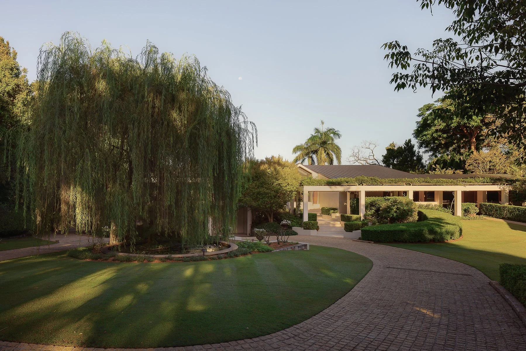 Web and Instagram res-7.jpg