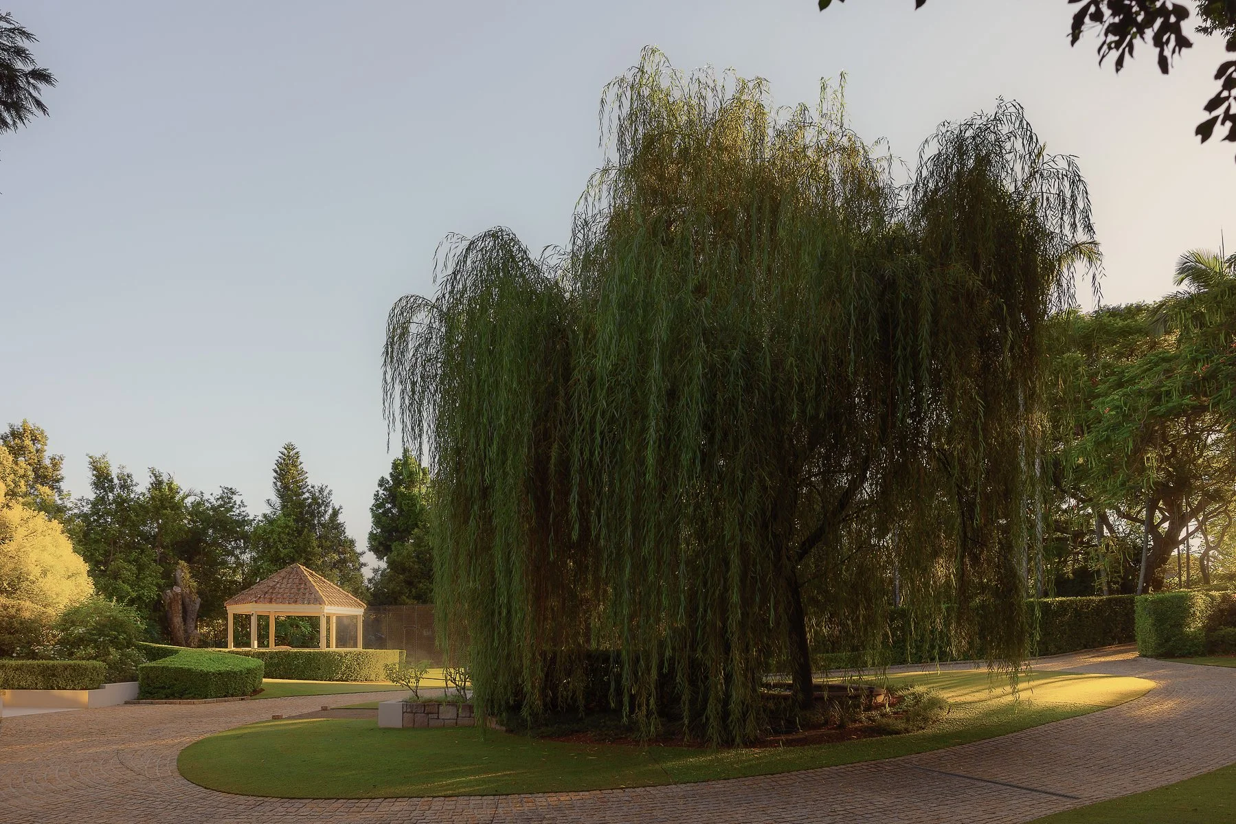 Web and Instagram res-6.jpg