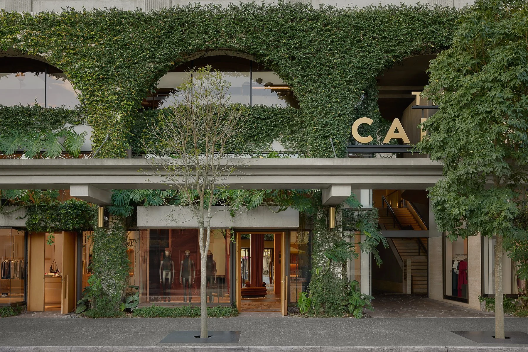 Web and Instagram res-15.jpg