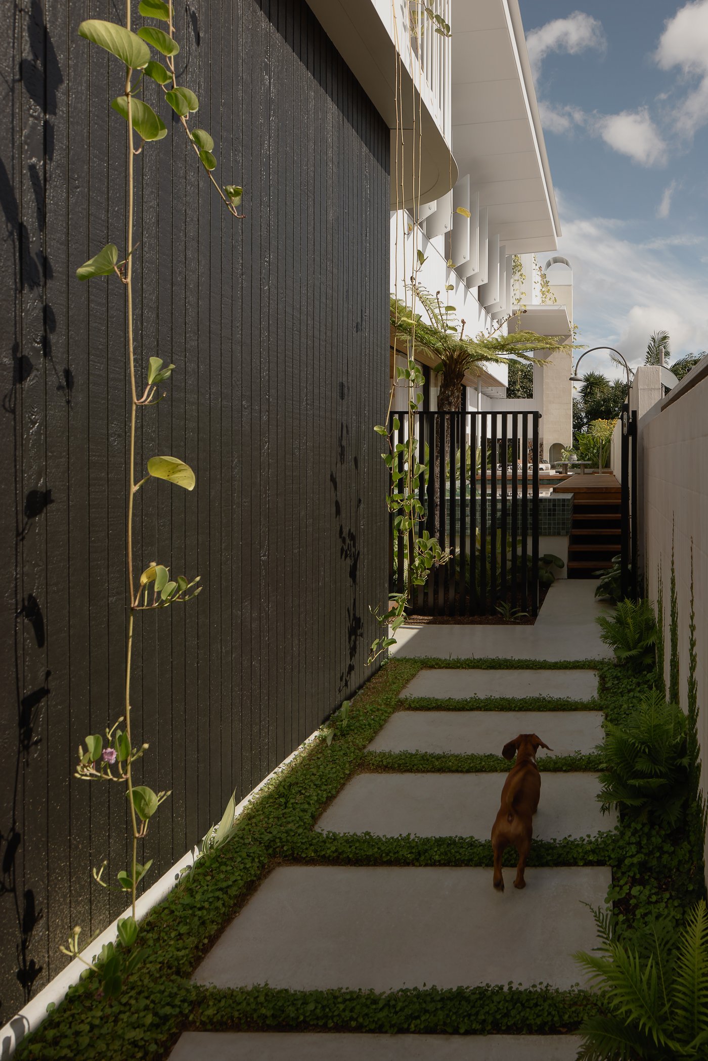 Web and Instagram Res-3.jpg