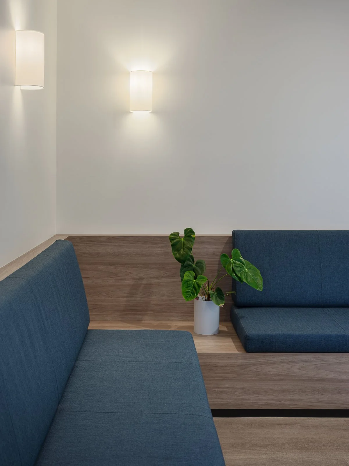 Web and Instagram res-5.jpg