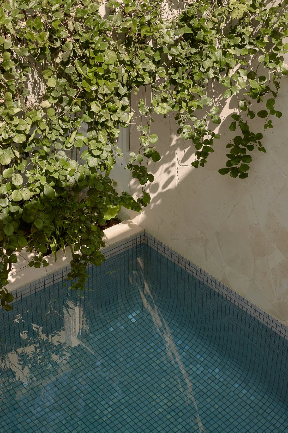 Web and Instagram res-14.jpg