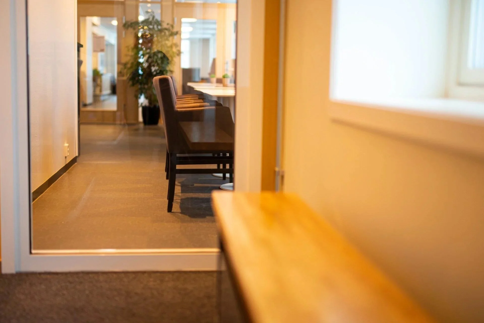 sfhs-inngangsparti med utsikt til møterom.jpg