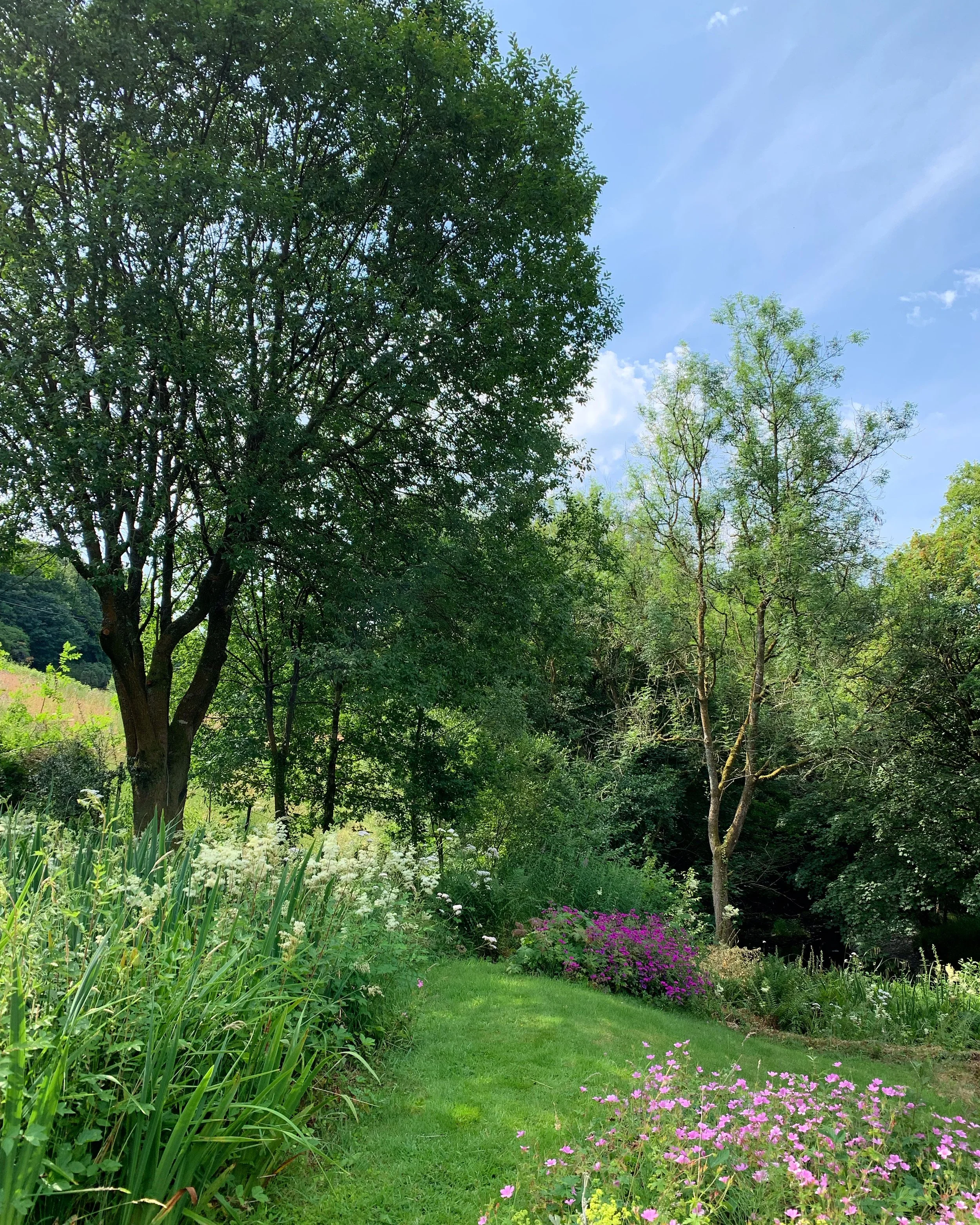 Lush garden with green trees and colorful wildflowers under a blue sky.