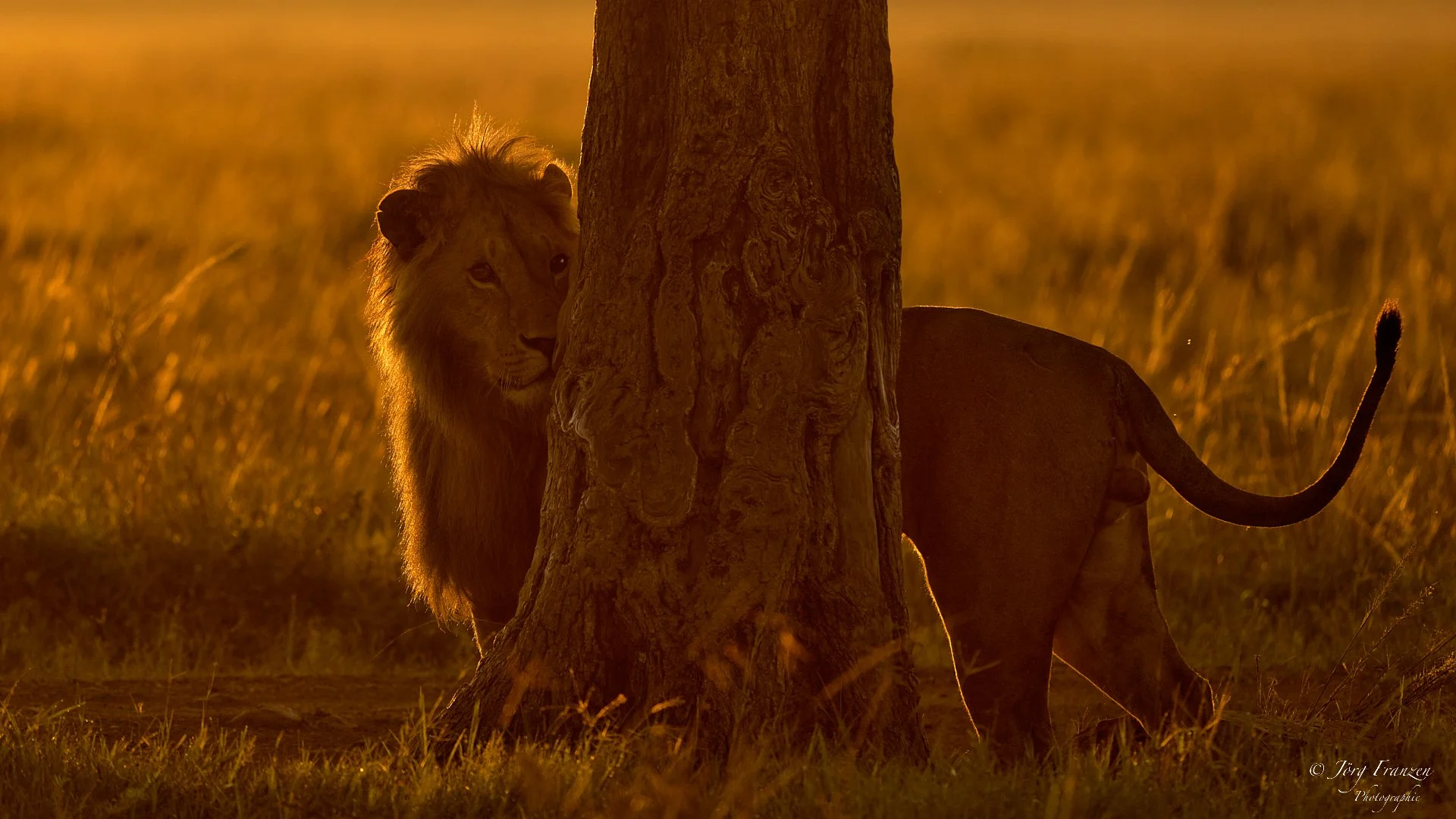 War hier schon jemand?