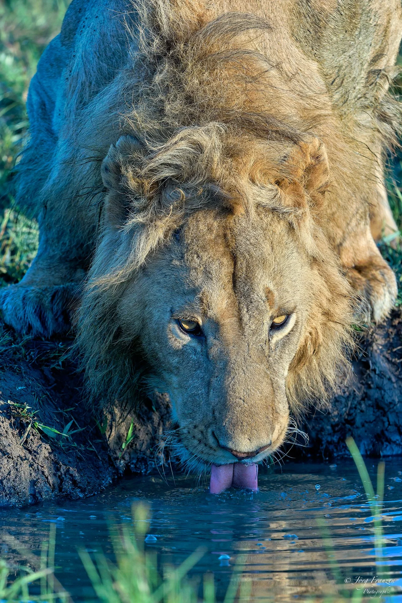 Er gönnt sich einen long drink.