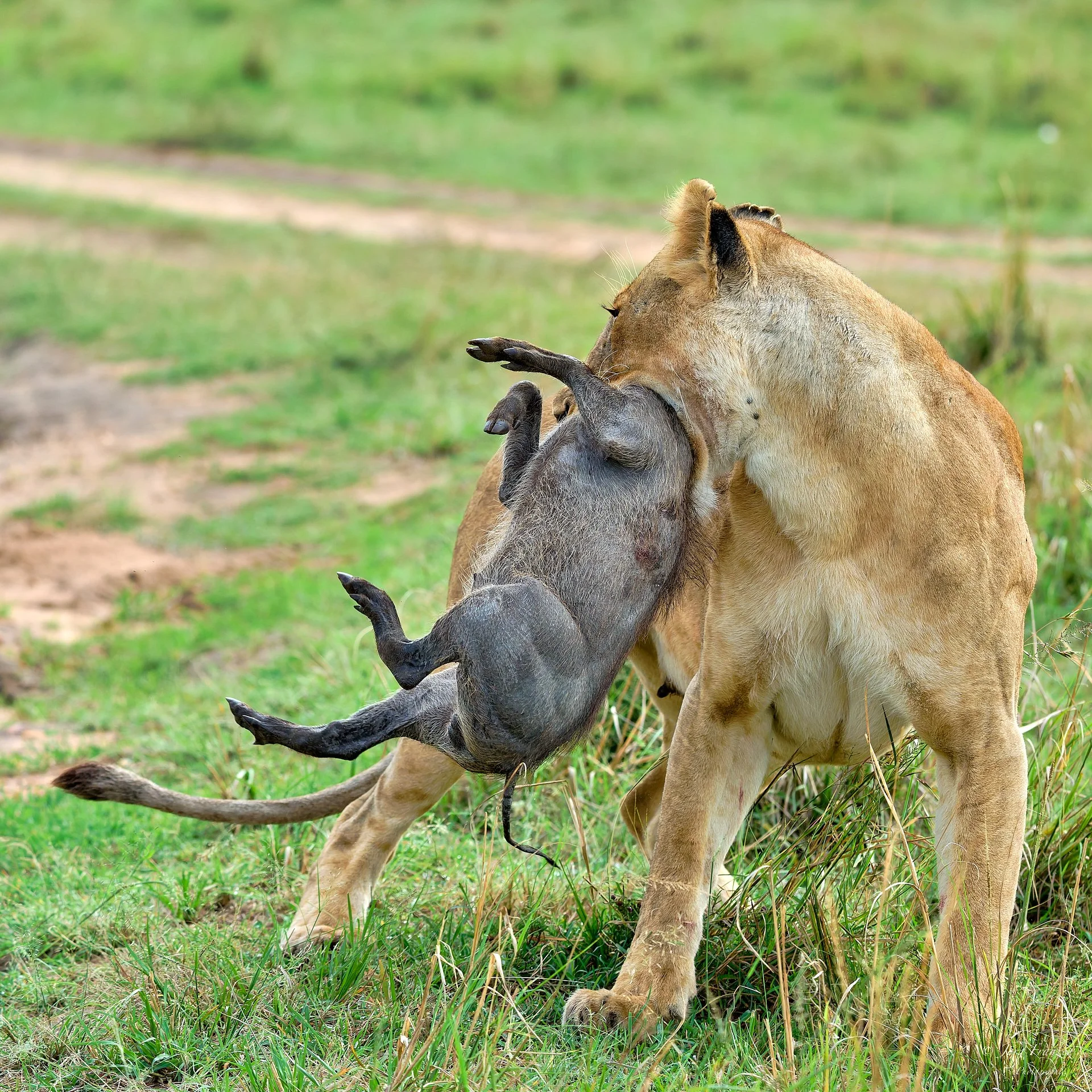 Und dann ist es schon zu spät.