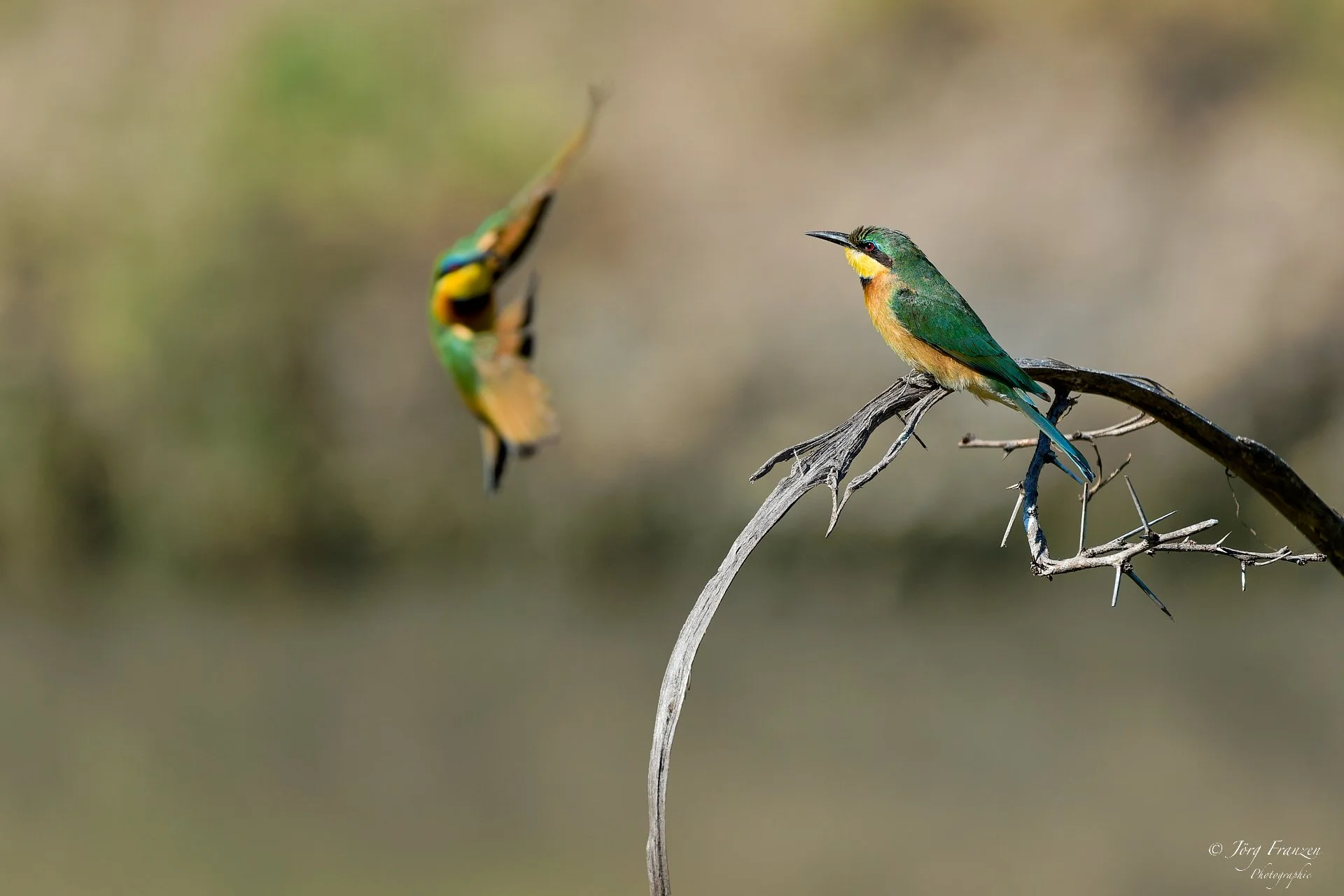 ... ein Kommen und Gehen.