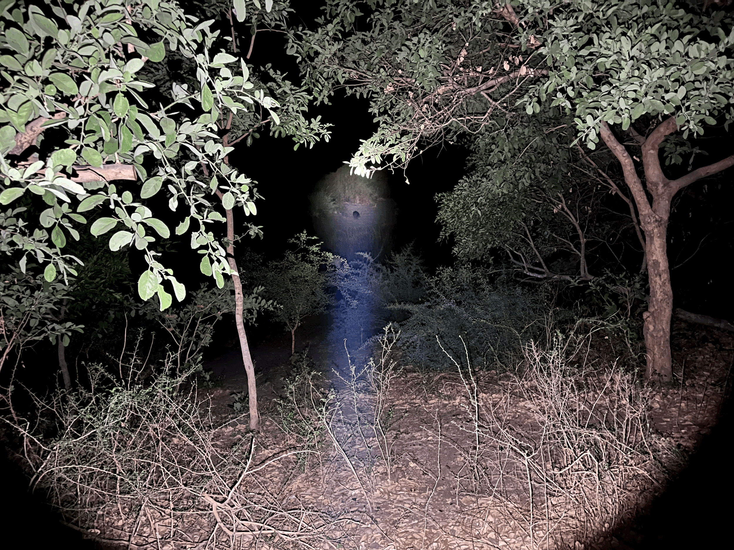 NAM ’23 - Teil 9: Mudumu National Park