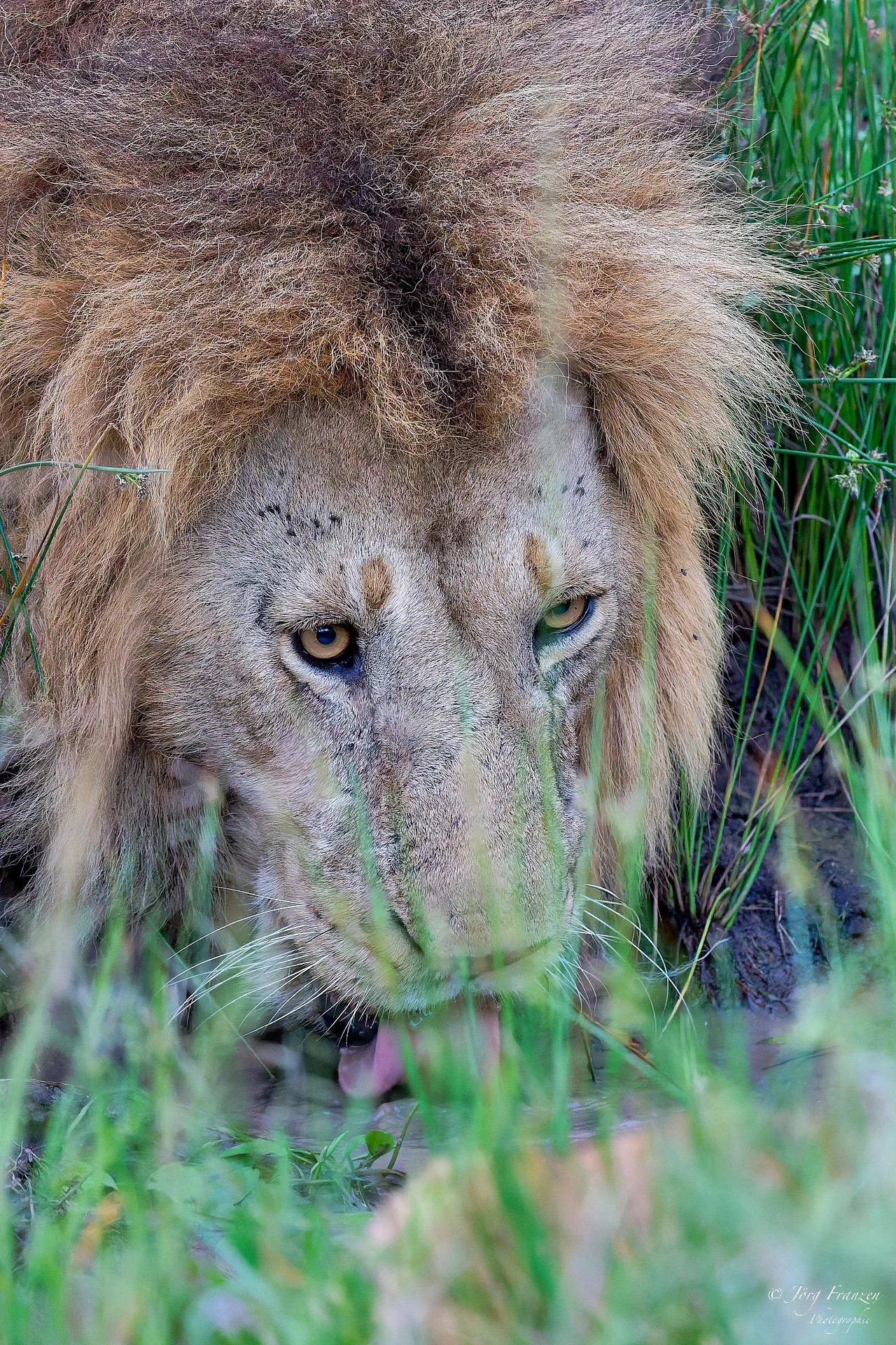 Gerne auch etwas ausgiebiger.