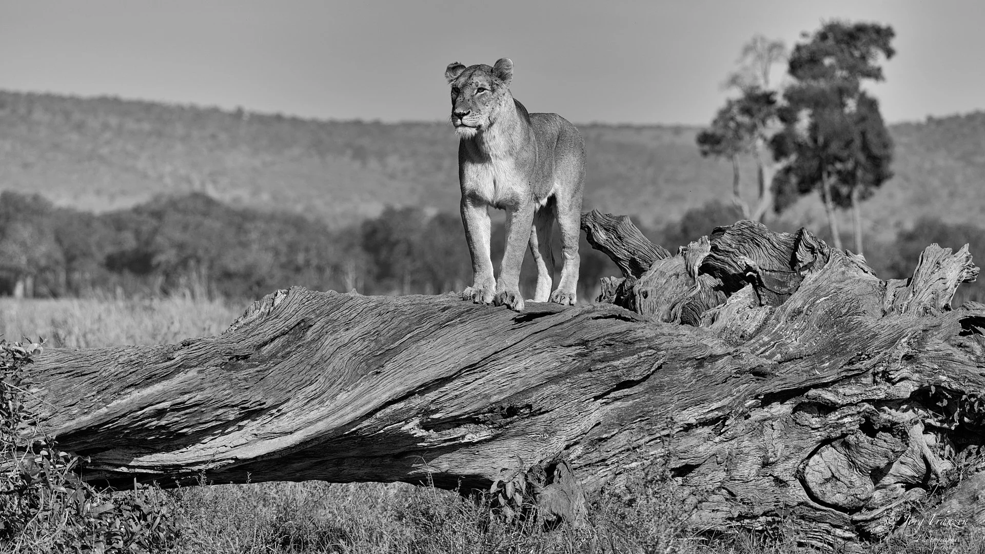 Mutter behält alles im Blick.