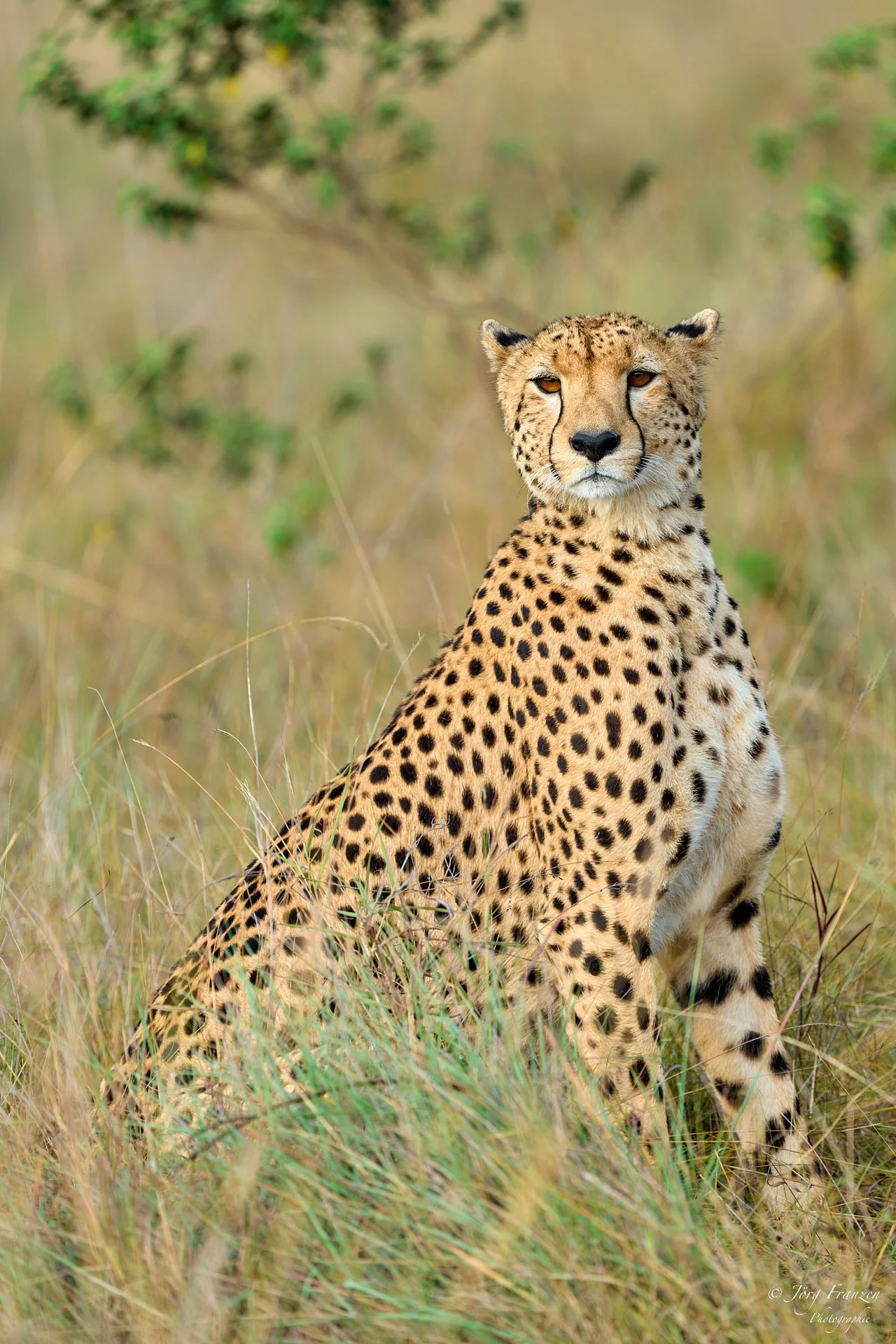 Auf der anderen Uferseite treffen wir ihn wieder.