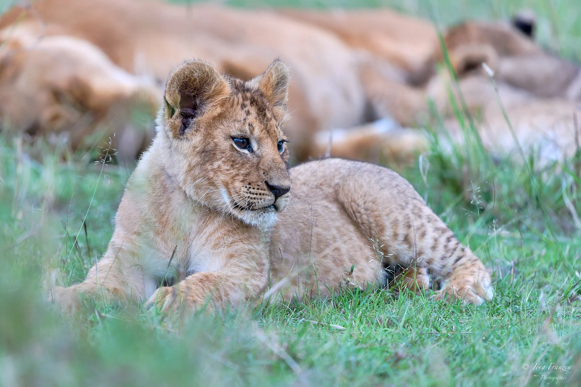 Es geht auch entspannt.