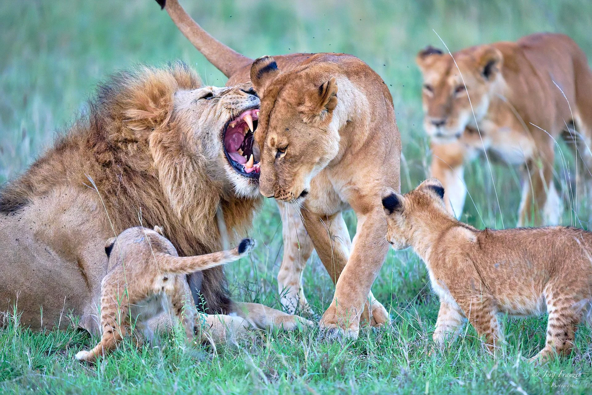 Was er hier auch deutlich zu verstehen gibt.