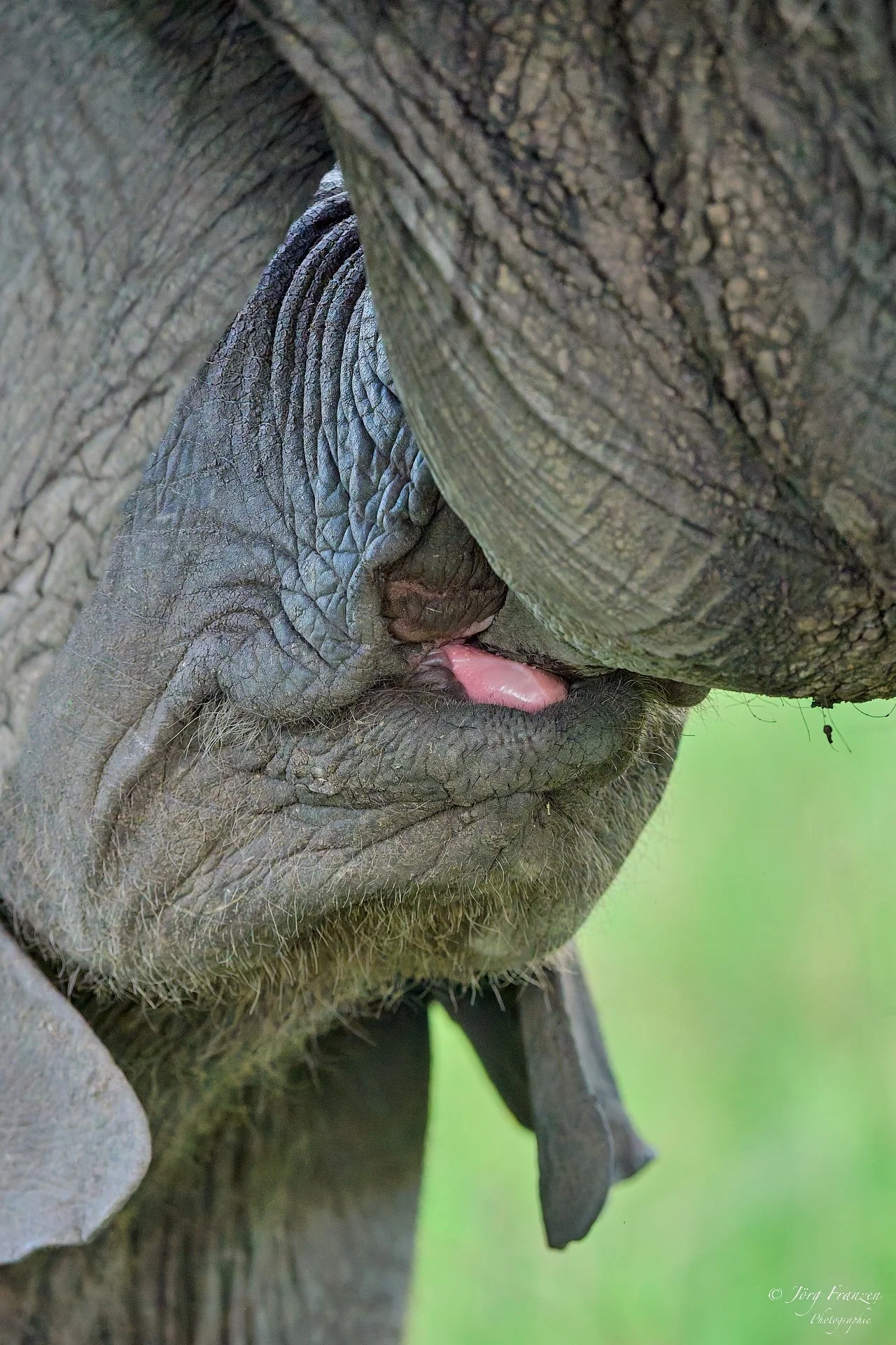 Die Bar ist nicht weit entfernt.