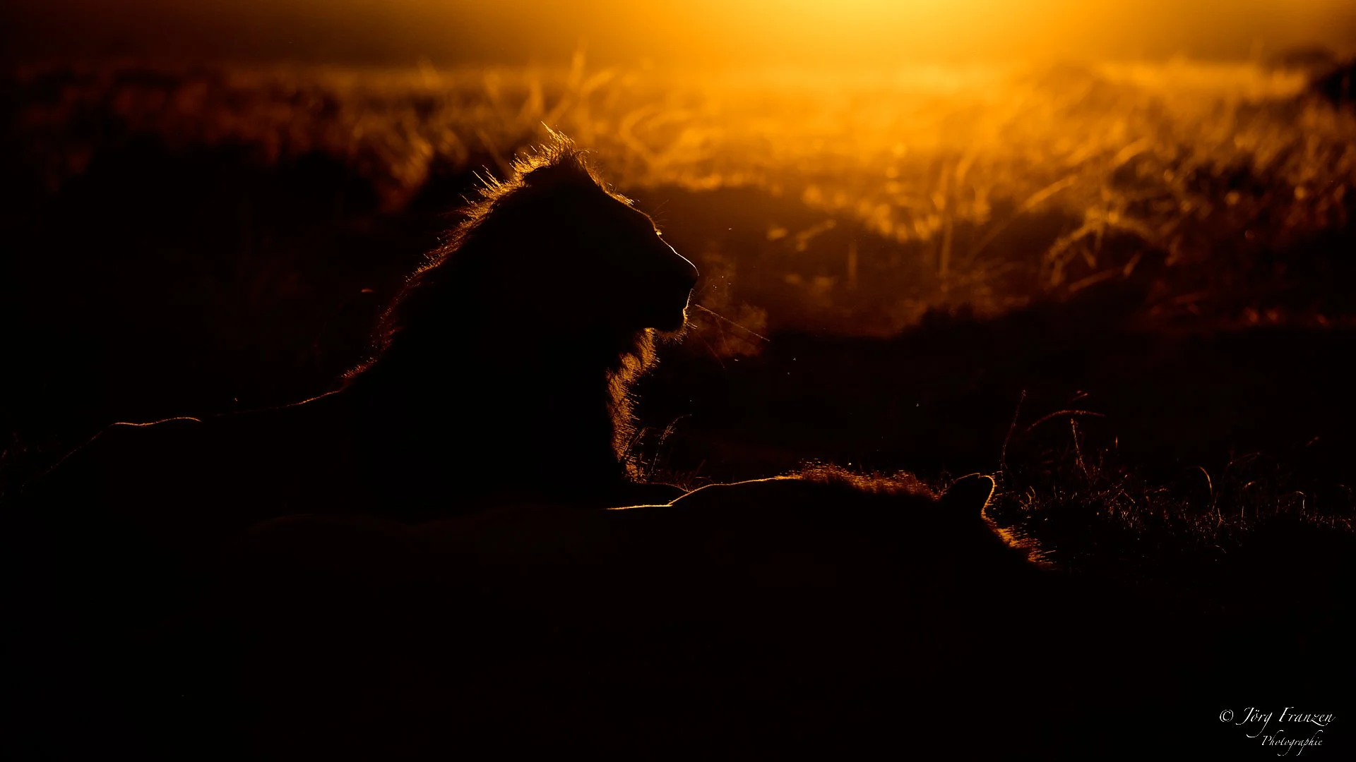 Der eine ruht, der andere wacht.