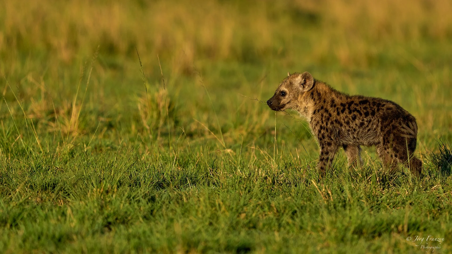 Der Nachwuchs ist auch schon aktiv.