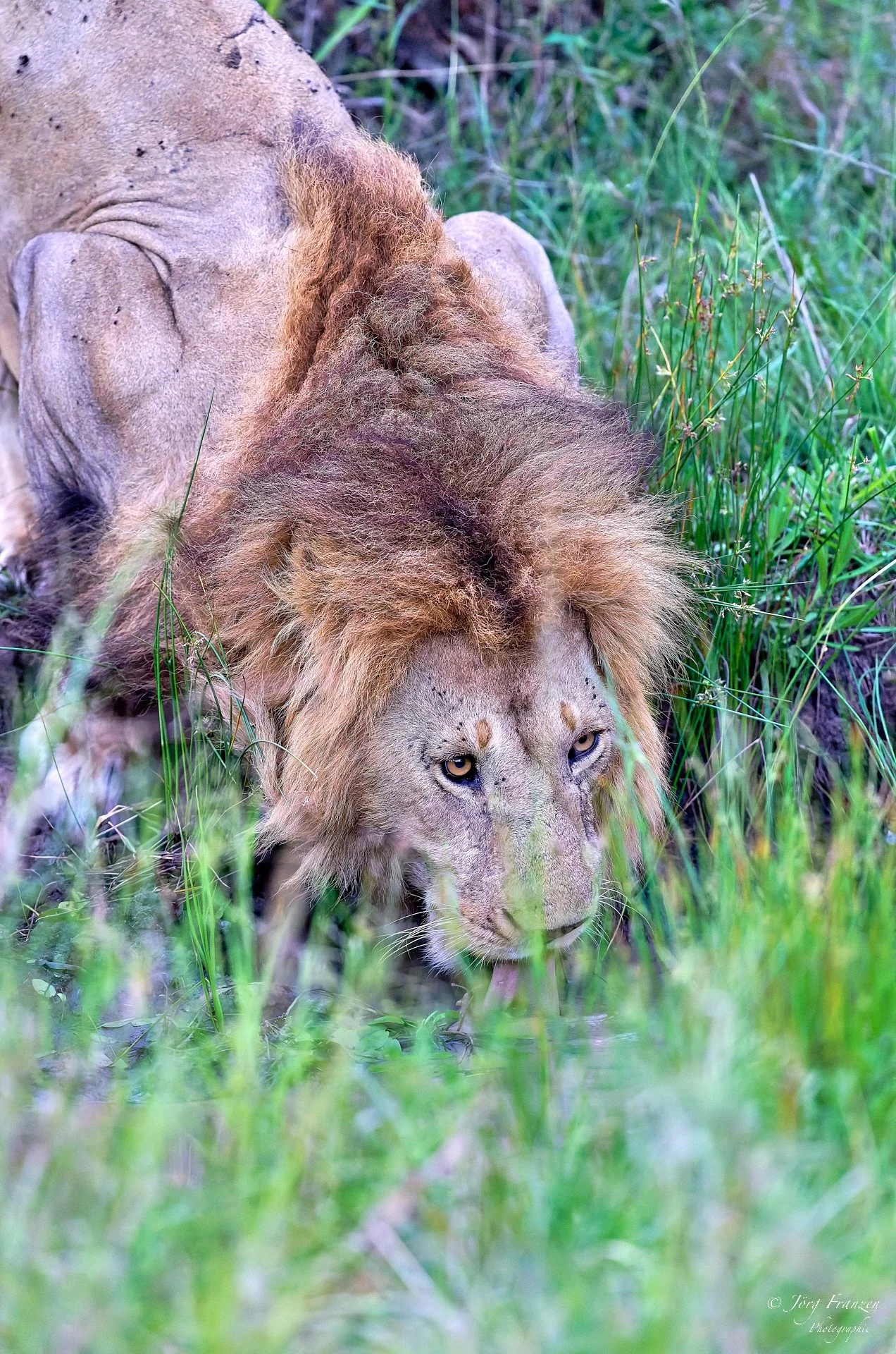 Ein abendlicher Drink