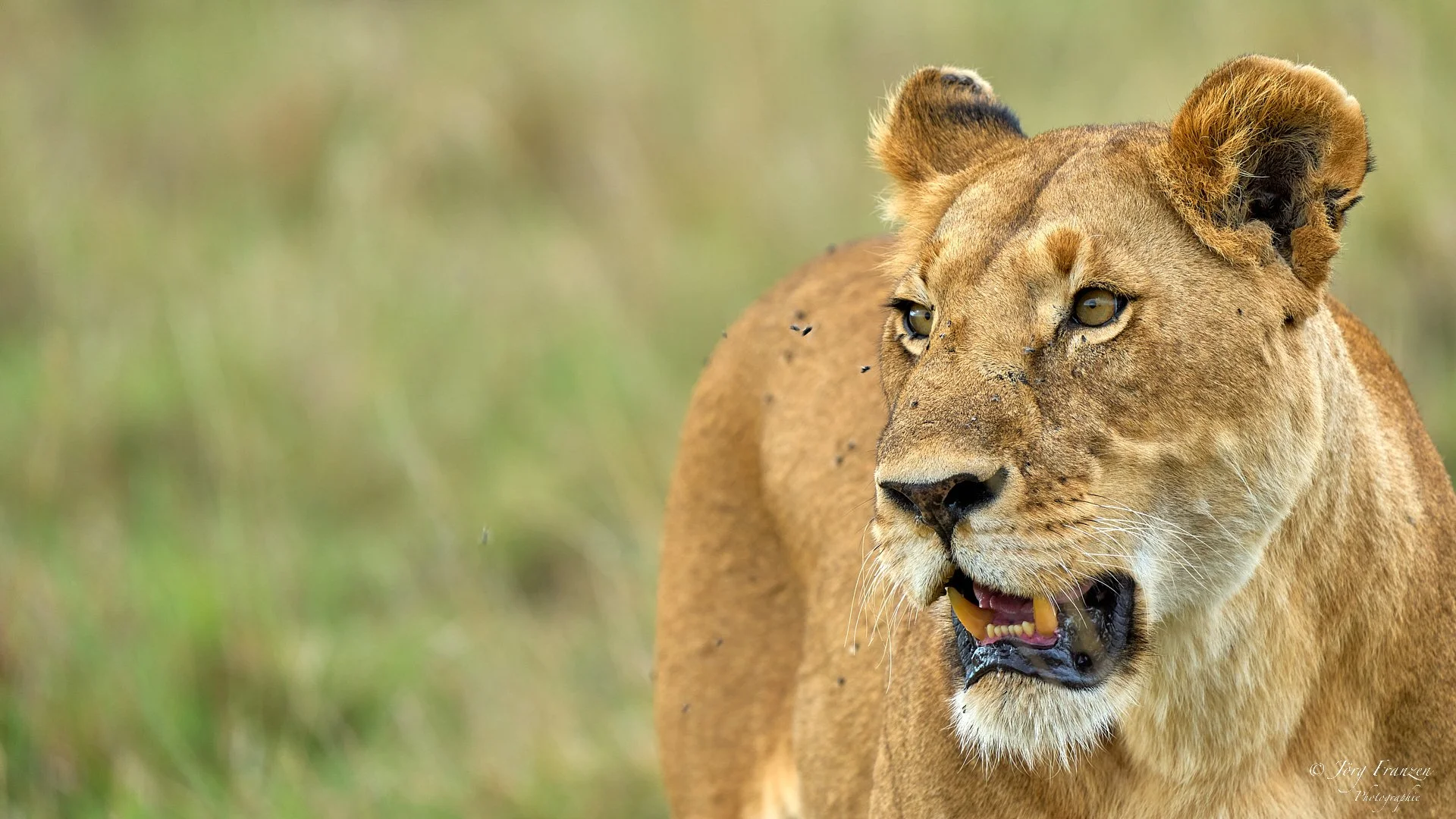 Und wieder saßen wir in der ersten Reihe.
