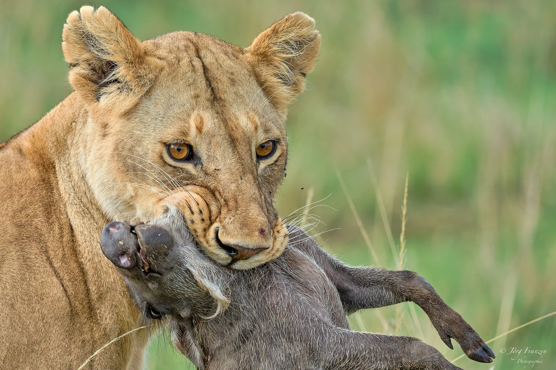 Wir waren wieder nah dran.