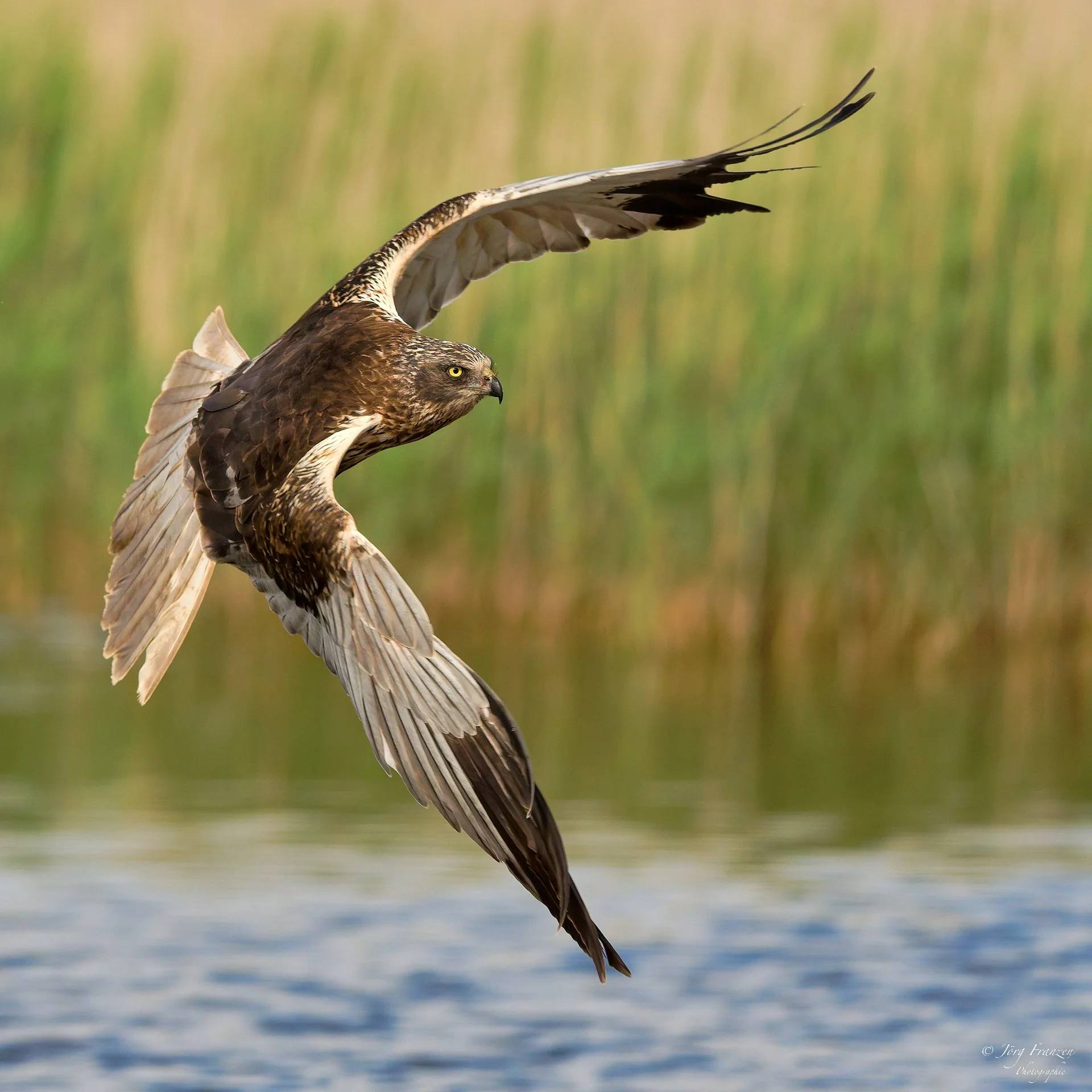 Das fliegende €-Zeichen