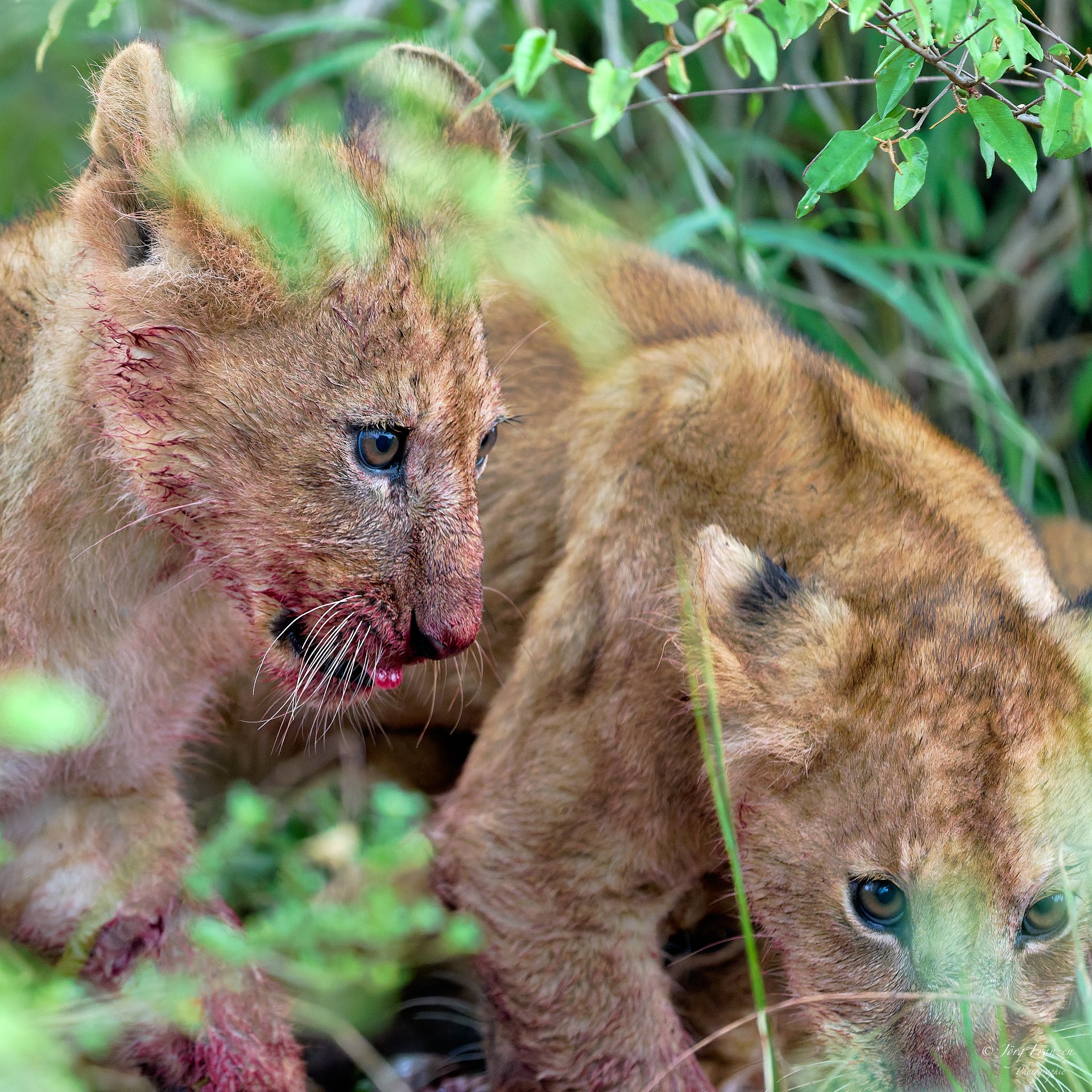 ... als die Mutter ...