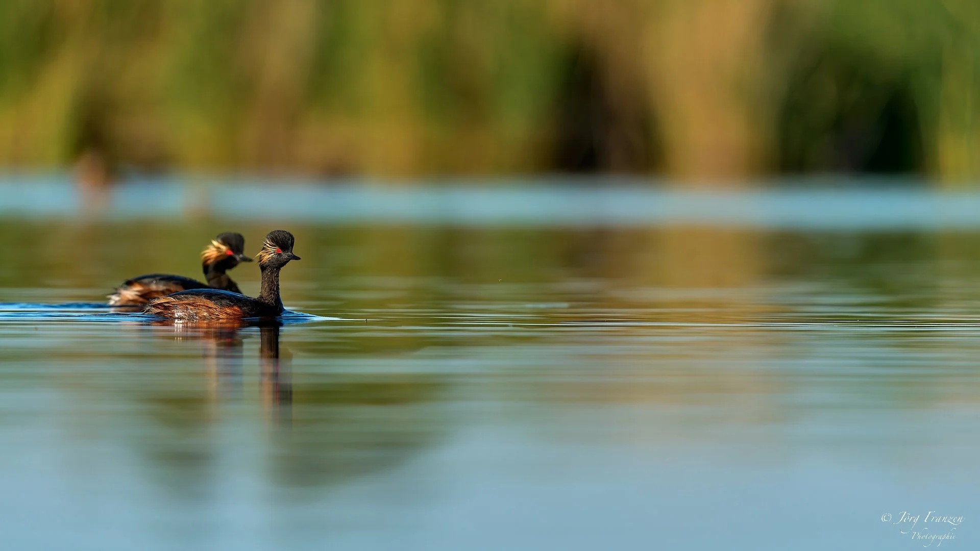Im "floating hide" hat man eine besondere Perspektive.