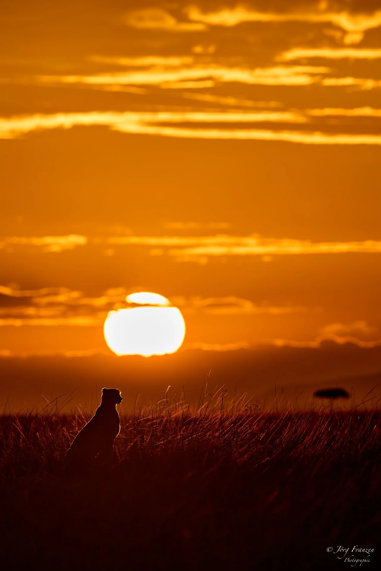 Das frühe Aufstehen hat sich gelohnt.