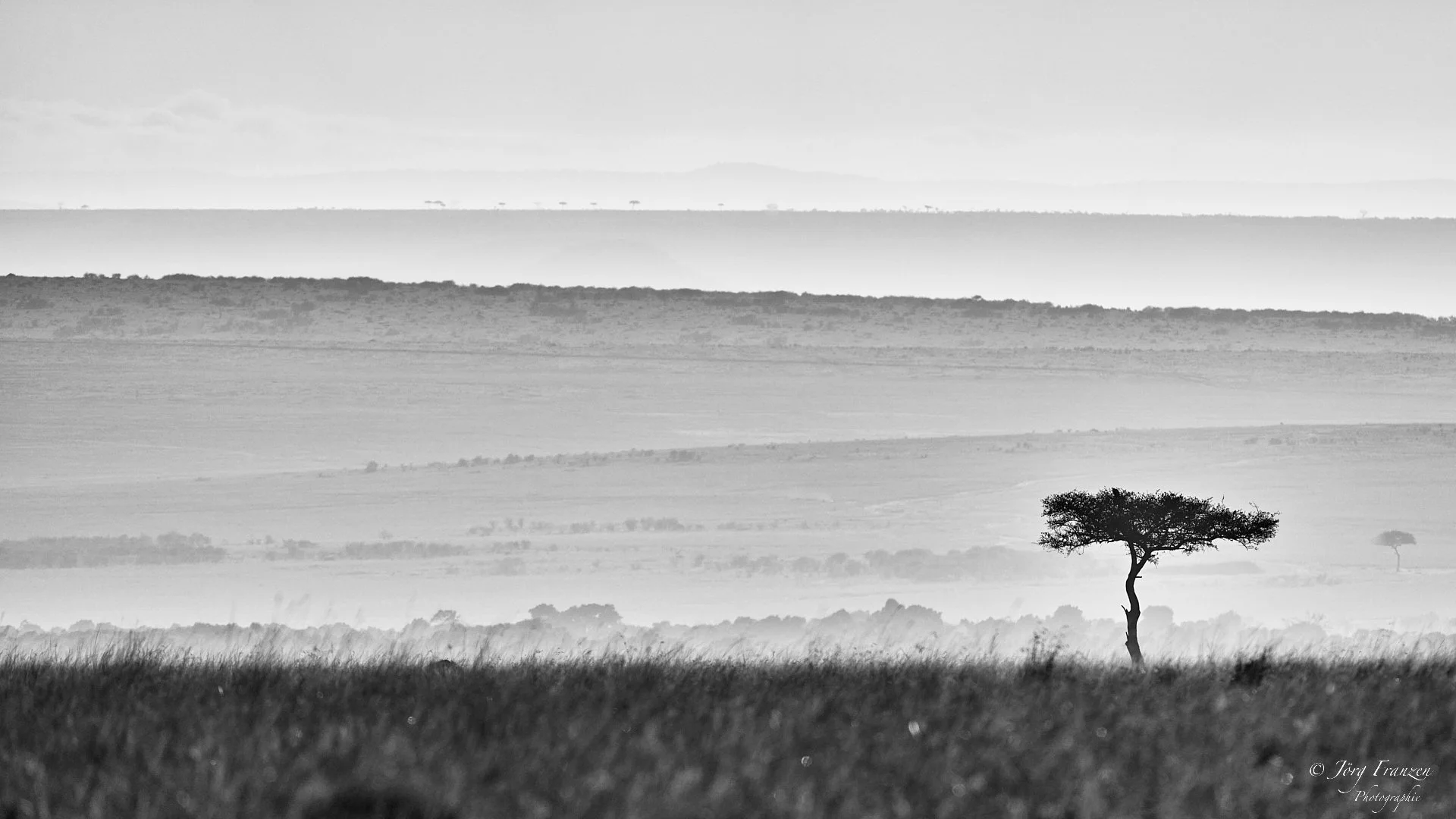 Und immer wieder diese Landschaft!