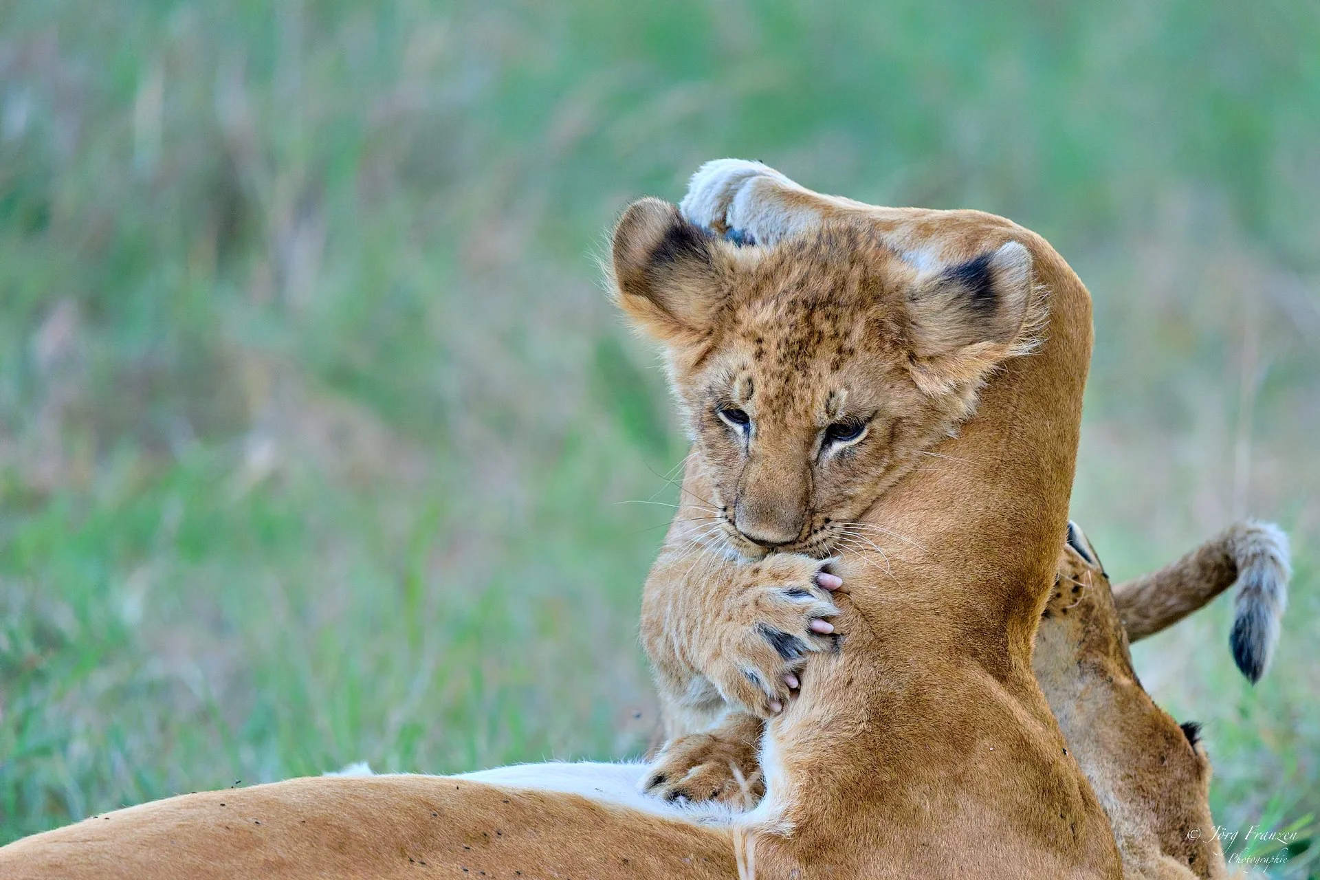 In allen Lebenslagen