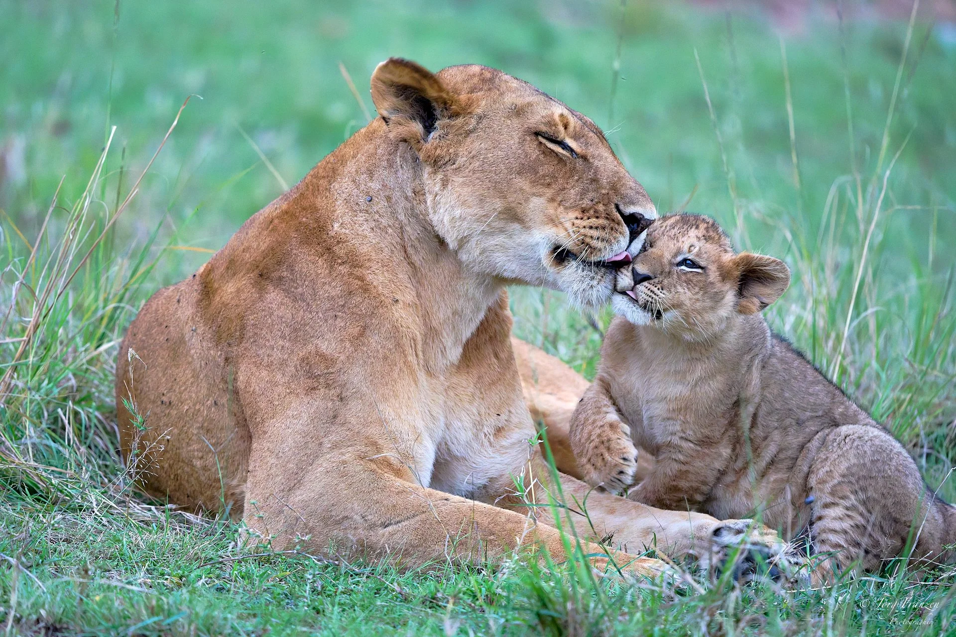 Liebkosung inklusive