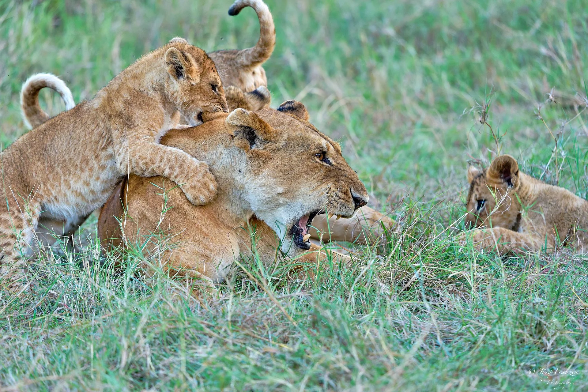 Mutter ist immer als Spielpartner gefragt.