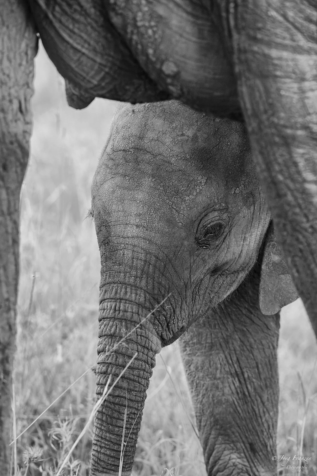 Spielen macht durstig.