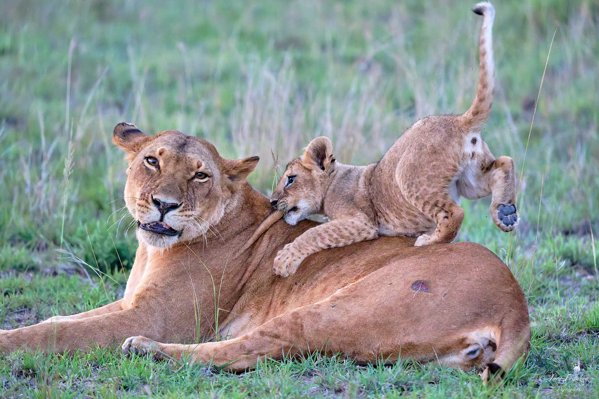 Dann muss eben die Mutter wieder zum Spielen herhalten.