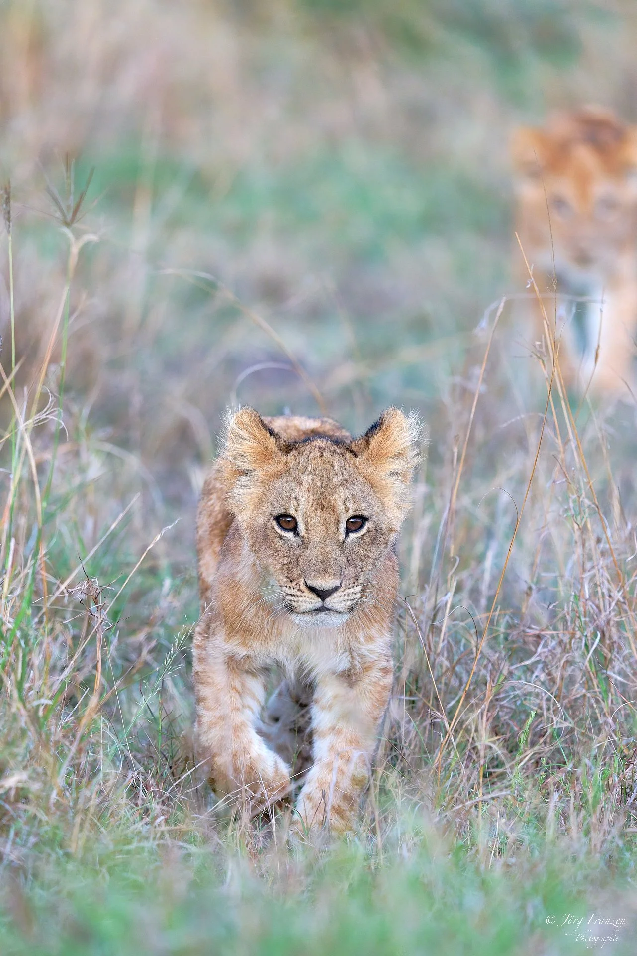 Sie schauen nicht sehr glücklich, ...