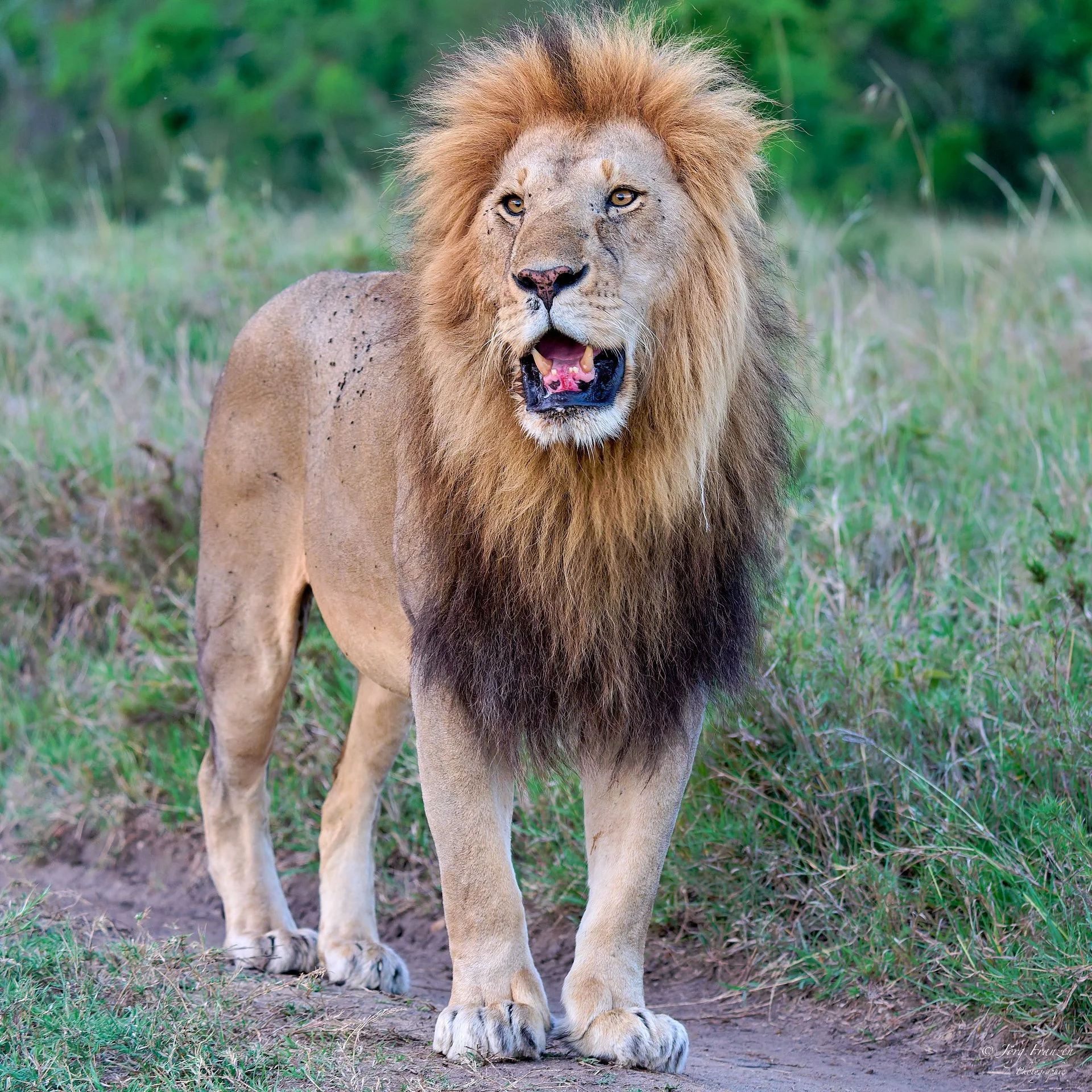Der Vater ist aufgrund einer Beinverletzung nicht gut drauf.