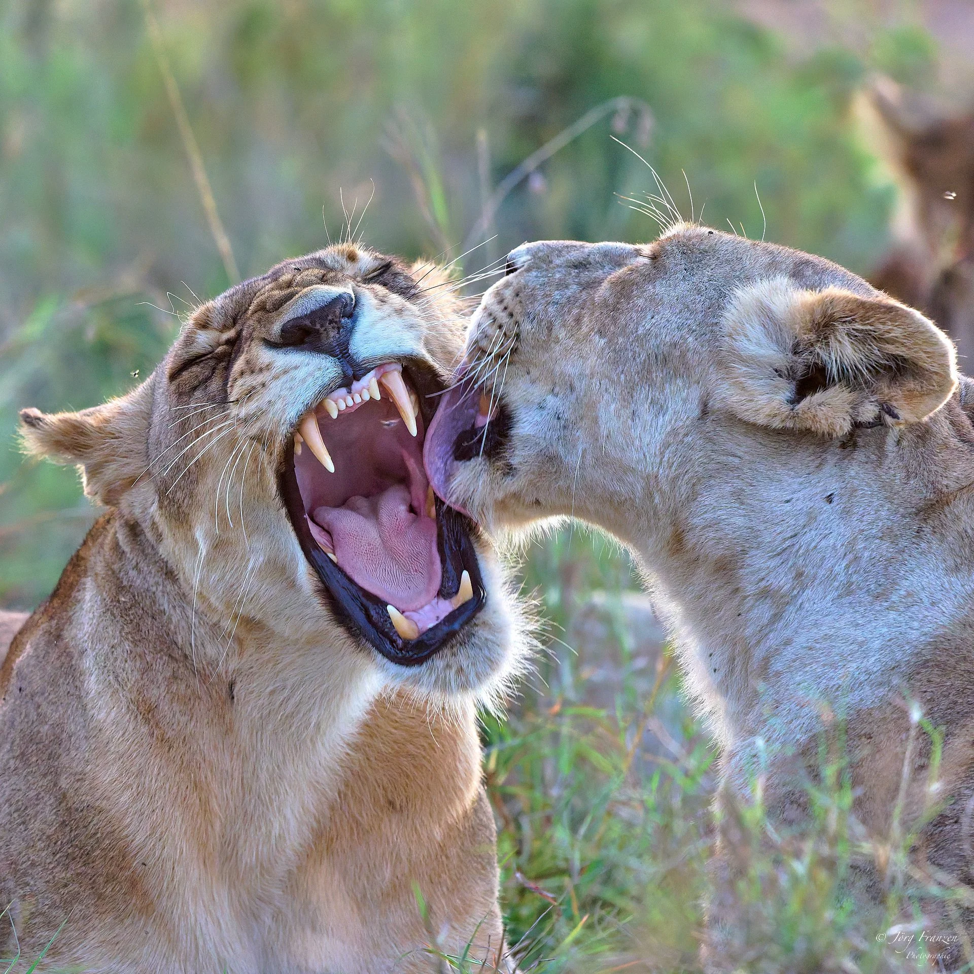 ... stärken die Beziehung.