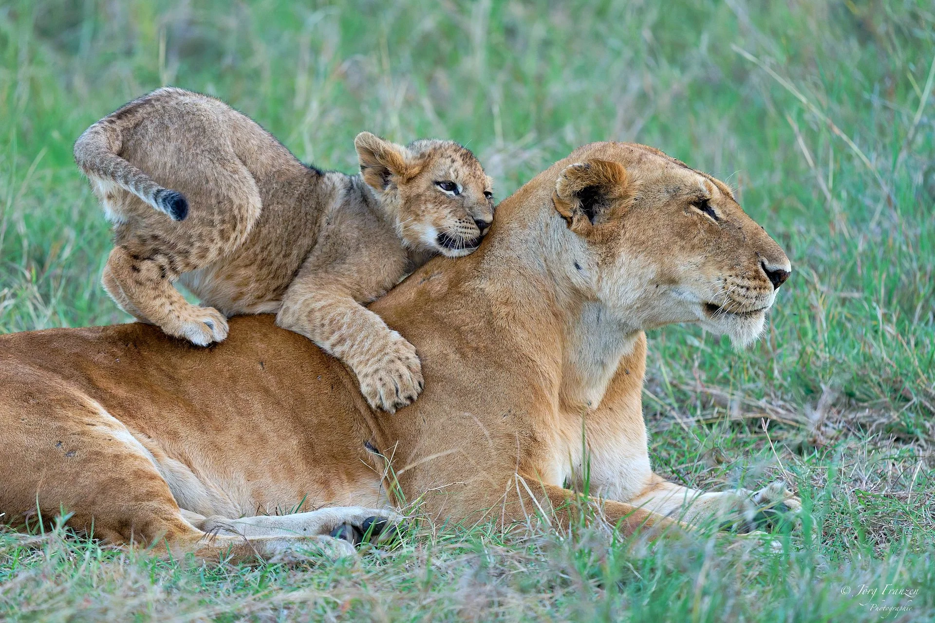 Ob sie will oder nicht