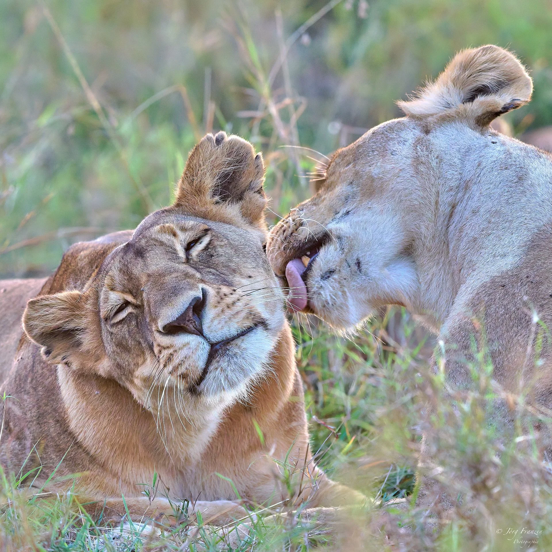 Reinigungsrituale ...