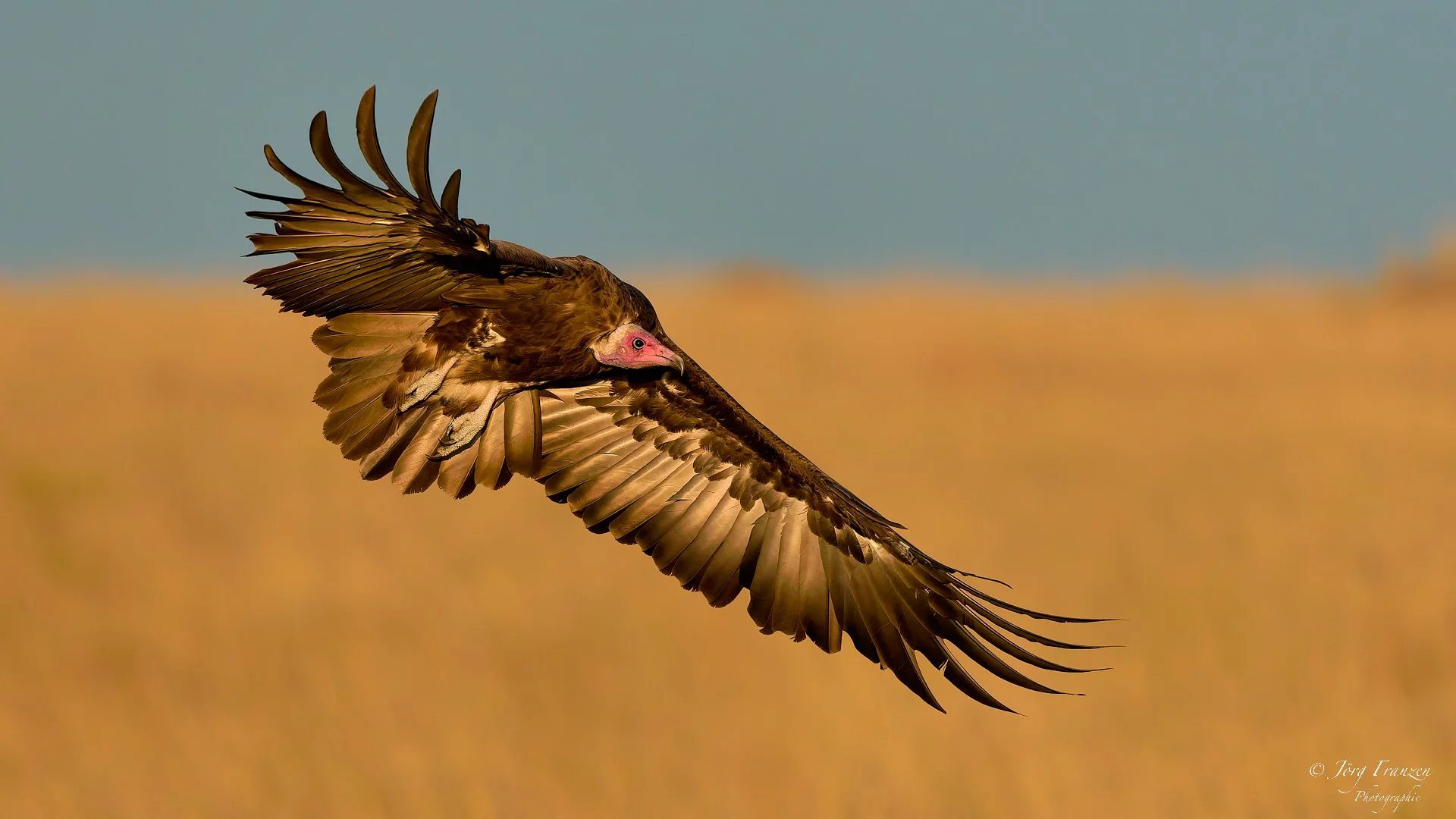 ... und setzt zur Landung an.