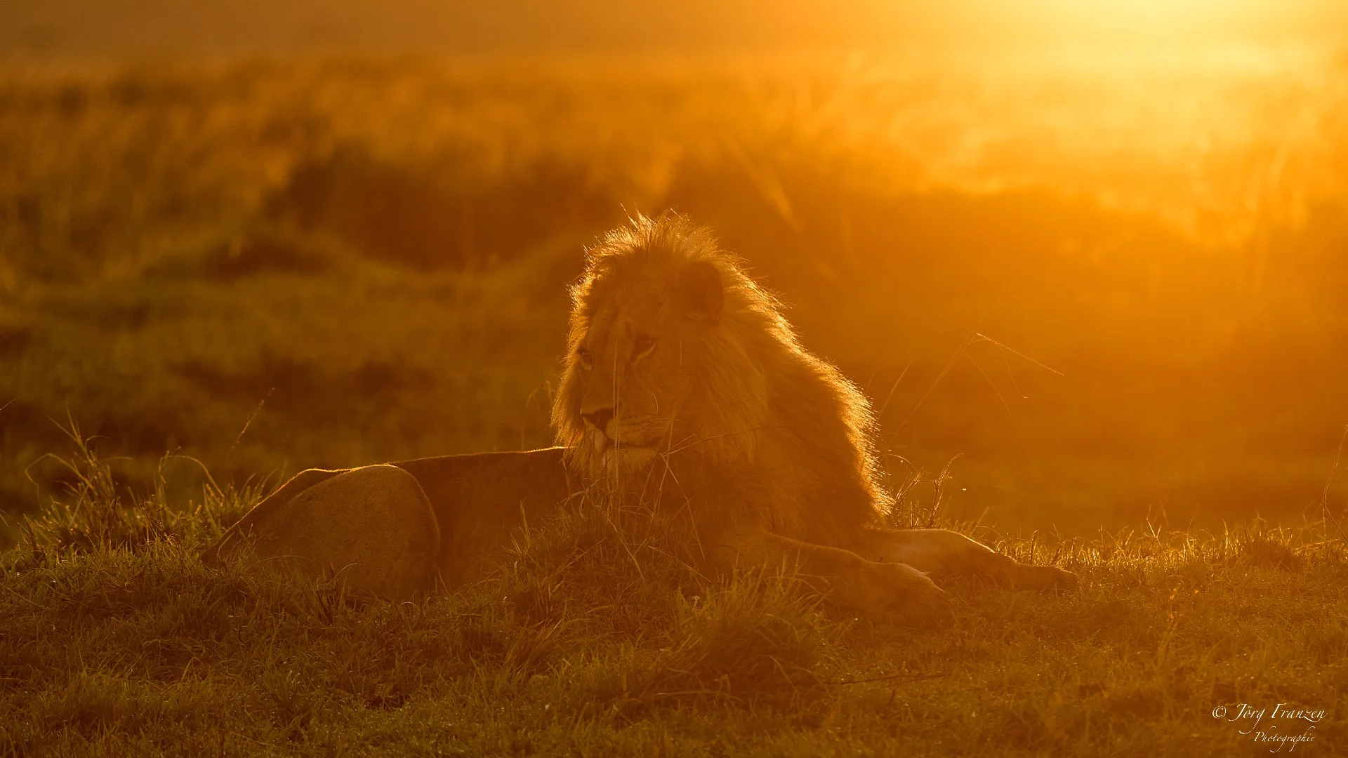 Ein herrlicher Anblick in diesem Licht!
