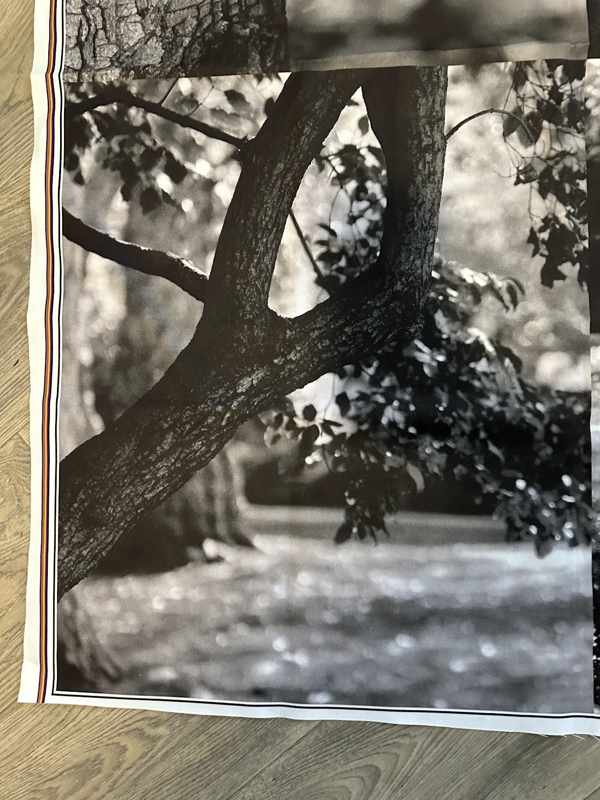 Photograph on the Skirt