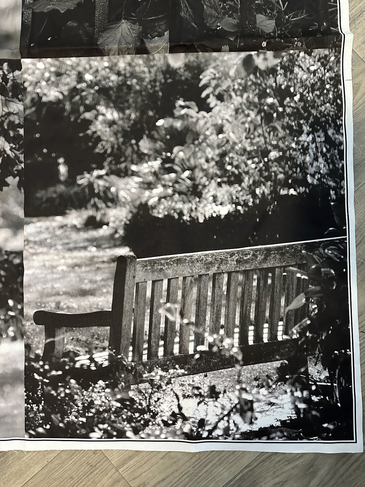 Photograph on the Skirt