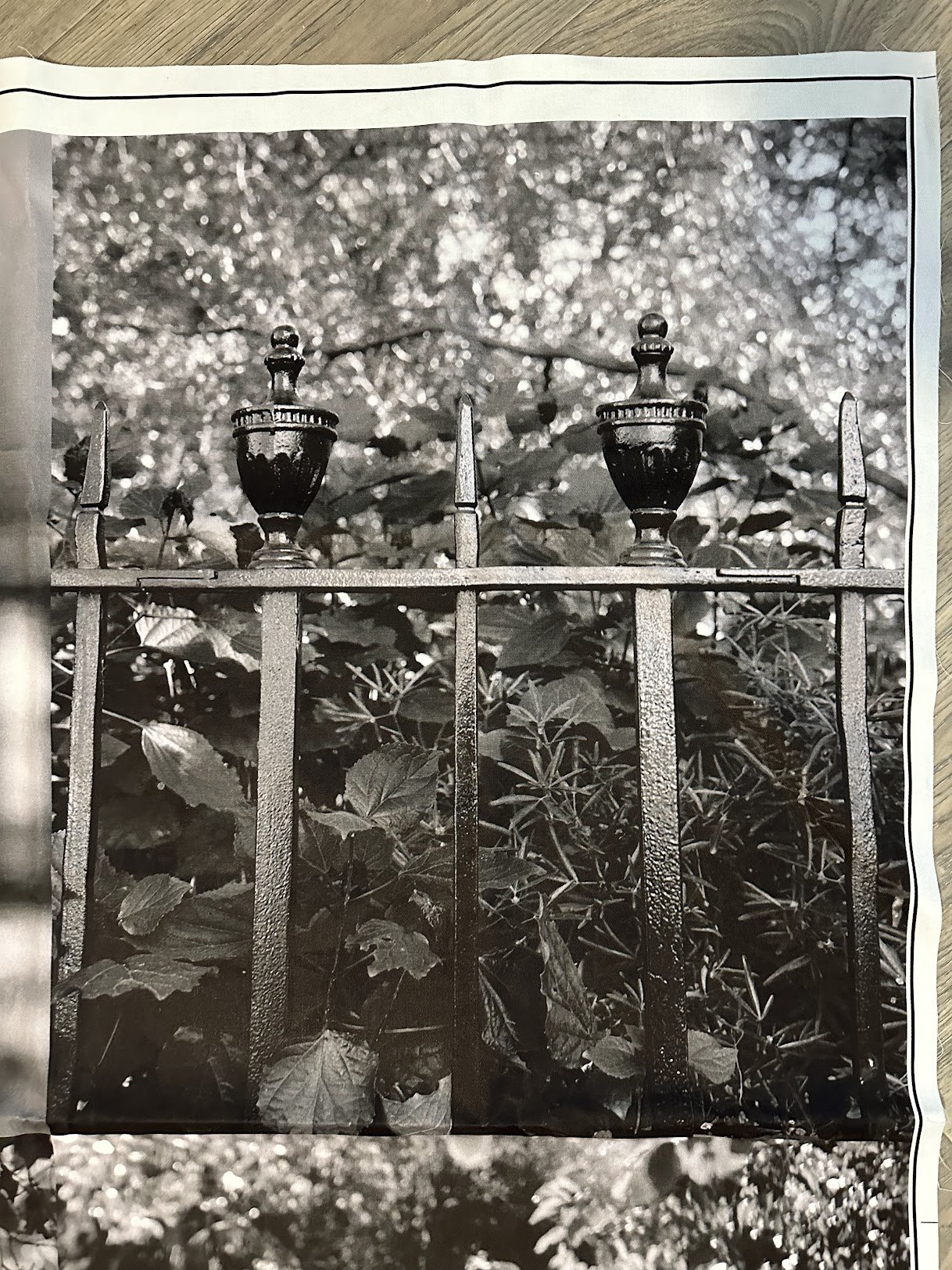 Photograph on the Skirt