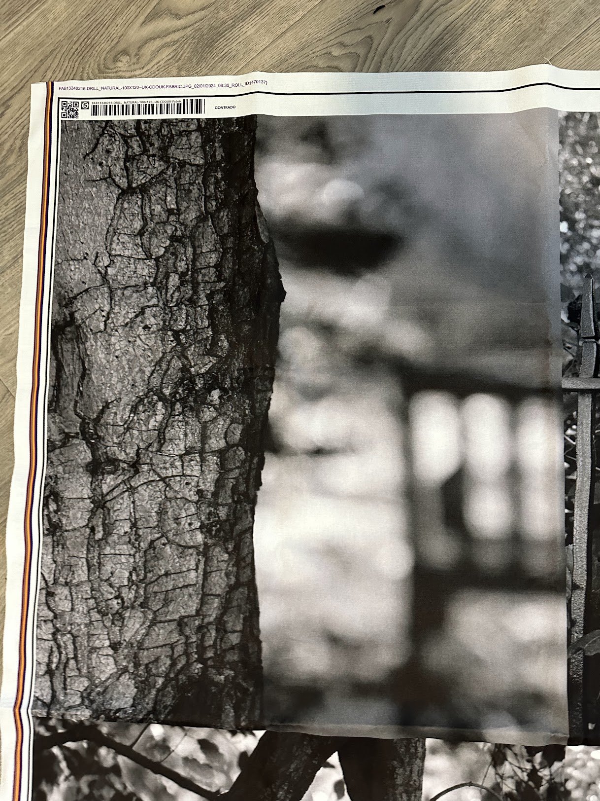 Photograph on the Skirt