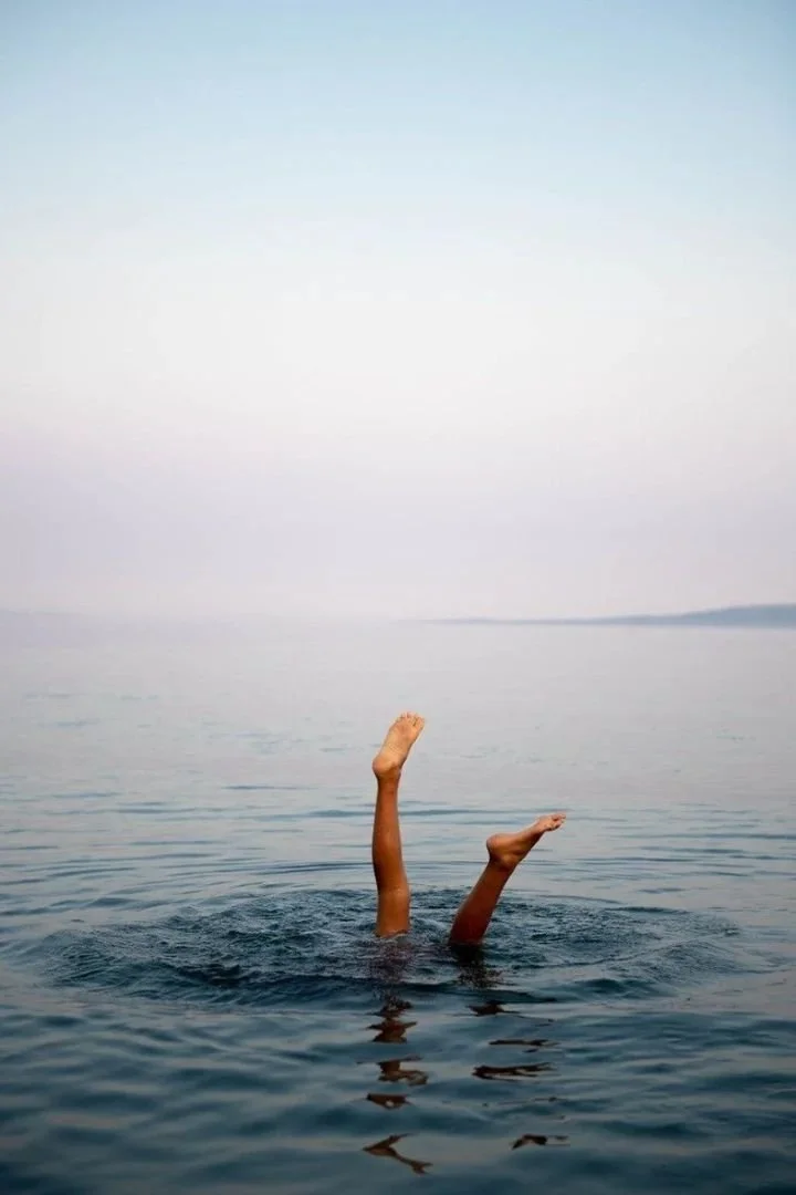 dive-in.jpeg