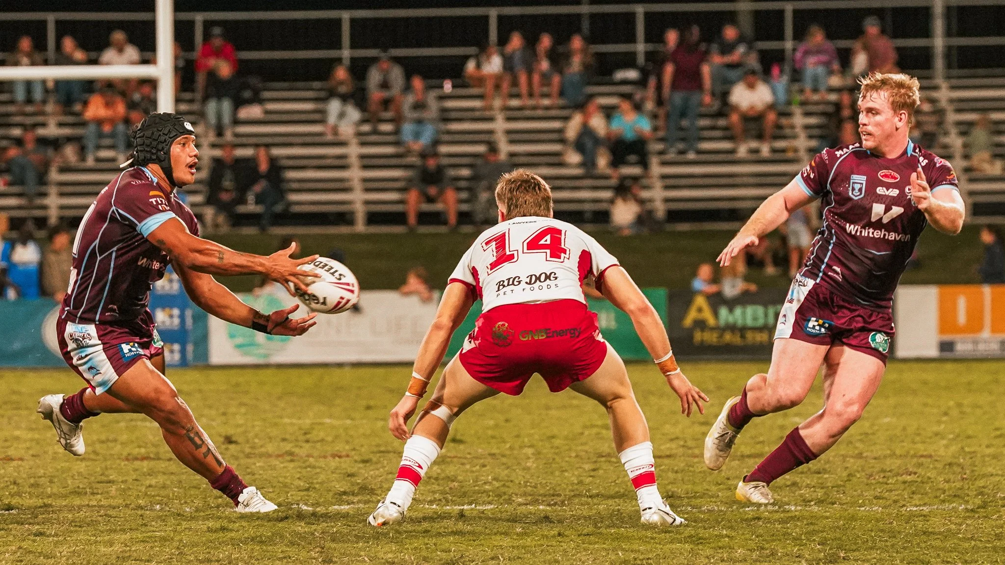 DSC05362-2.jpg