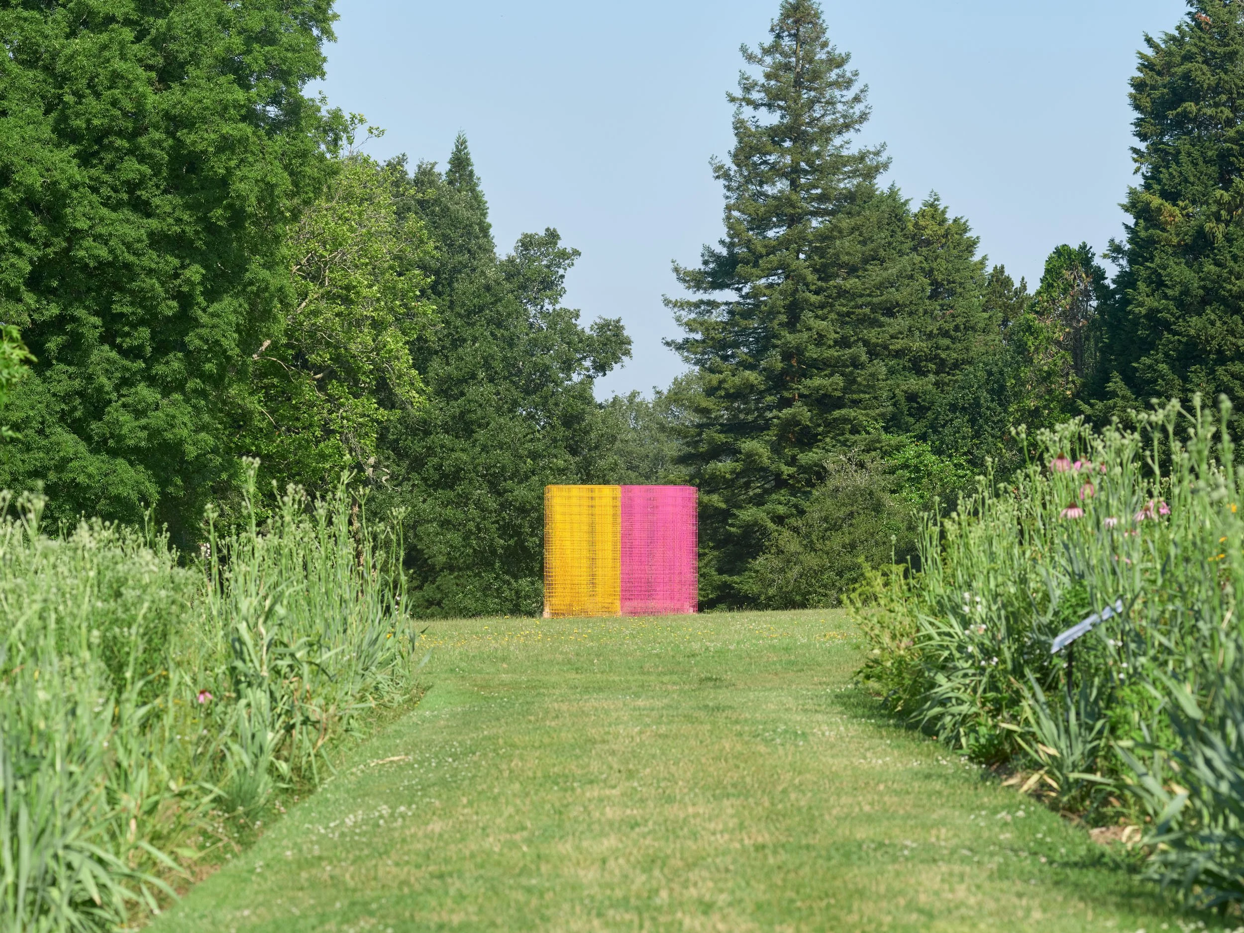 Rana Begum_No.1604 Fence_Kew Wakehurst_2026_2.jpg